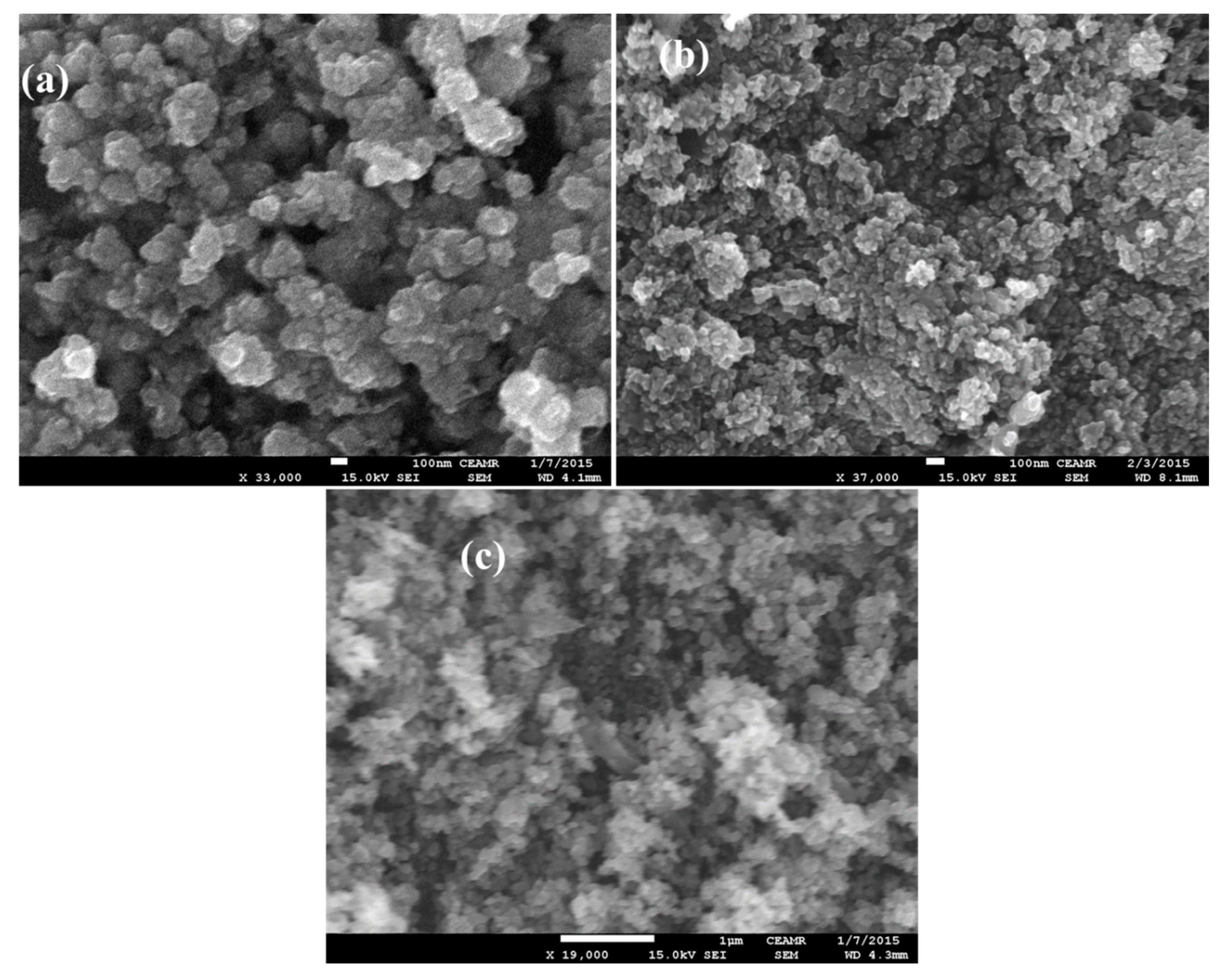 Molecules 26 01470 g002 Molecules 26 01470 g002