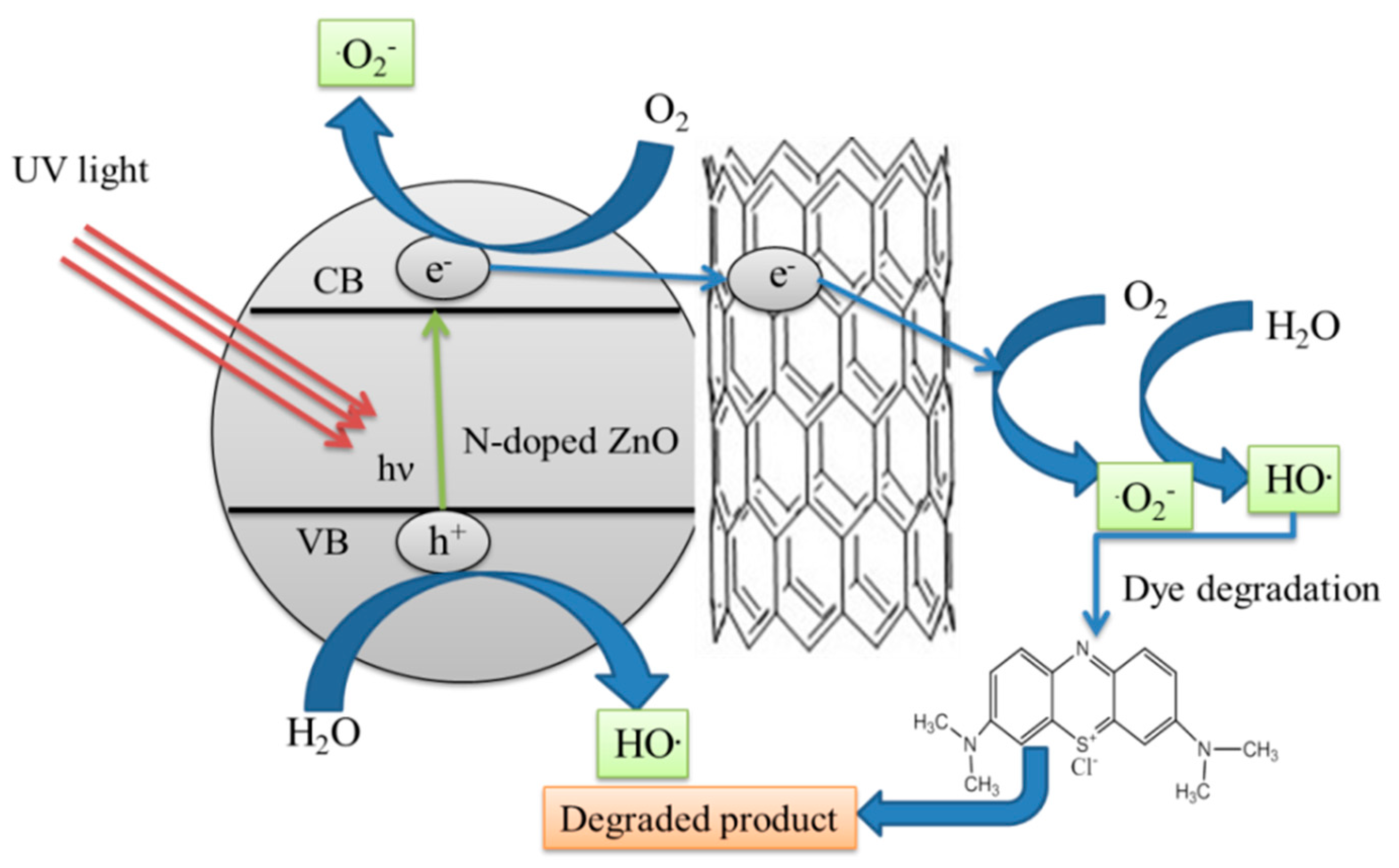 Molecules 26 01470 g009 Molecules 26 01470 g009