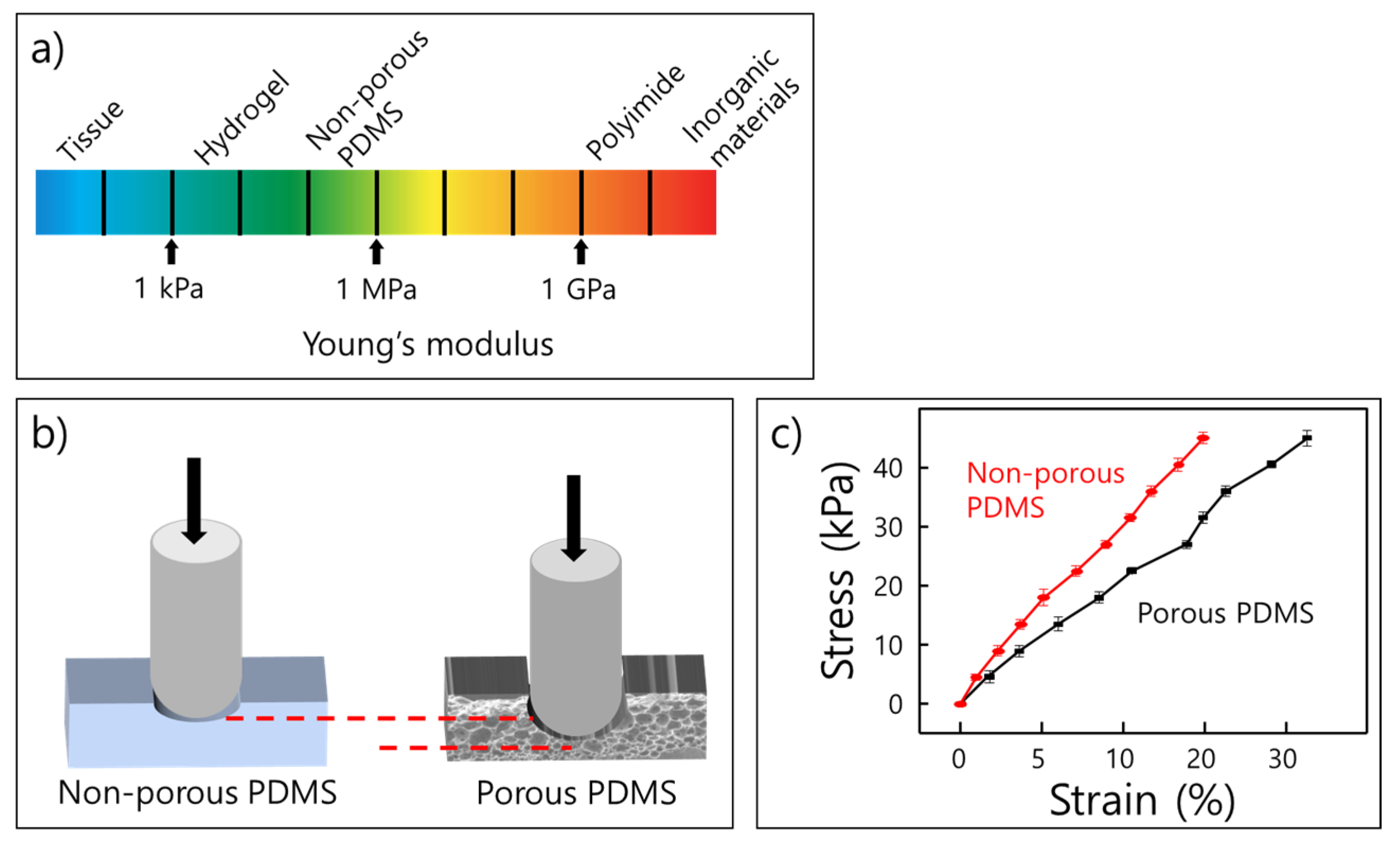 Molecules 26 01471 g001 Molecules 26 01471 g001