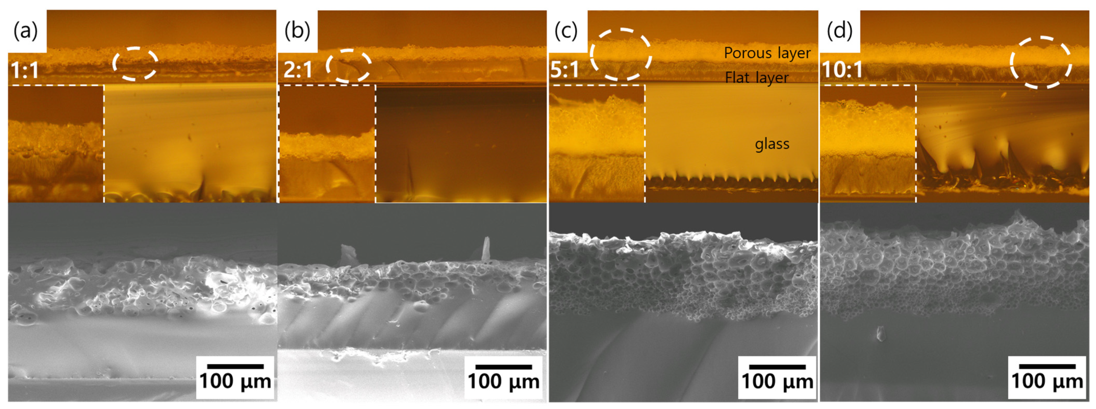 Molecules 26 01471 g002 Molecules 26 01471 g002