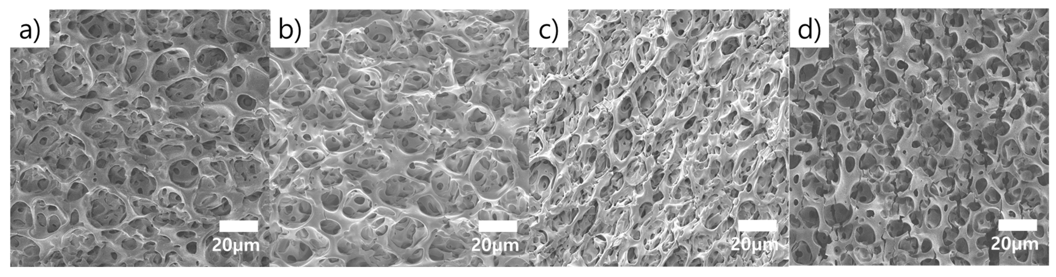 Molecules 26 01471 g004 Molecules 26 01471 g004