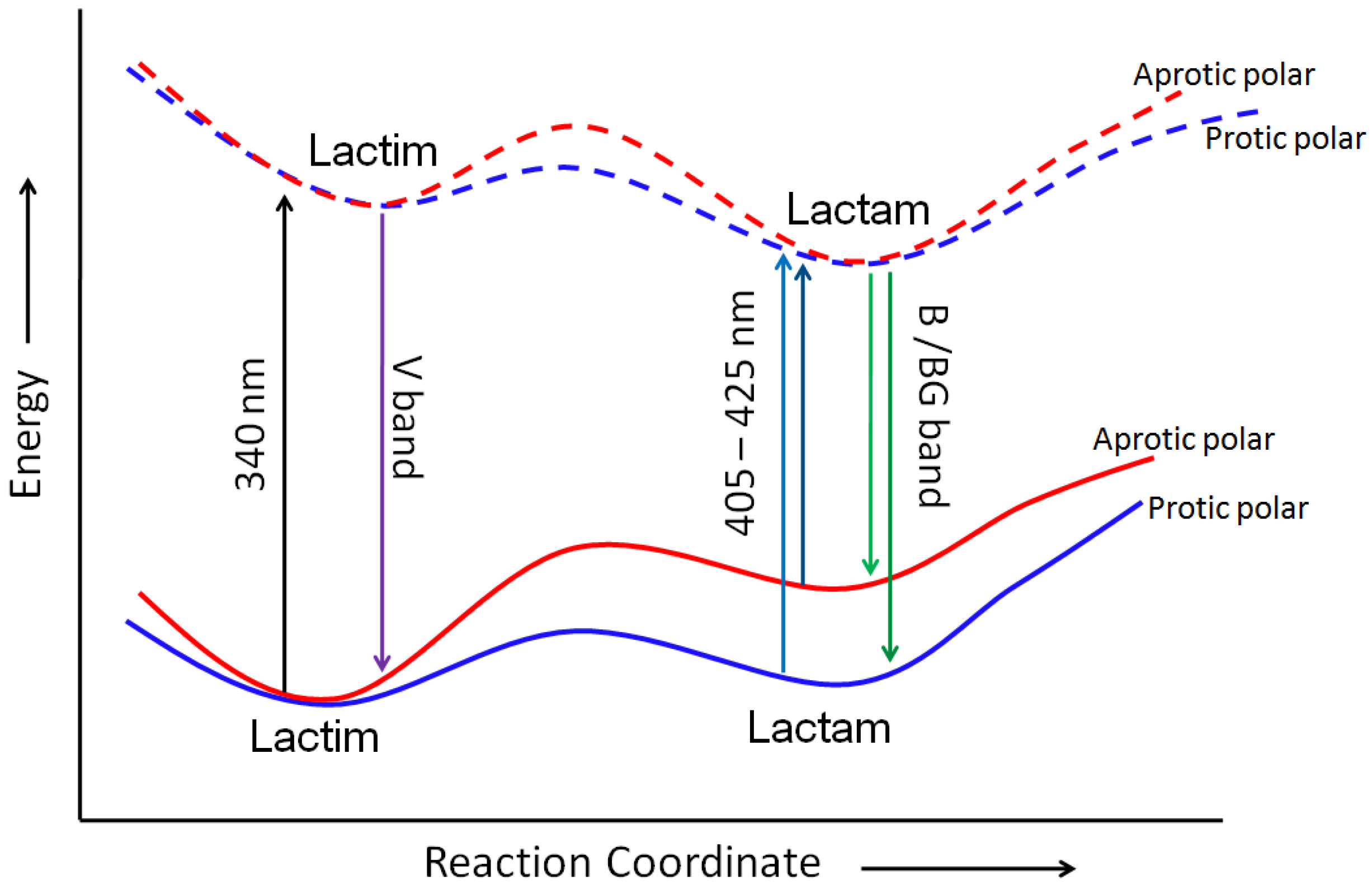 Molecules 26 01475 g003 Molecules 26 01475 g003