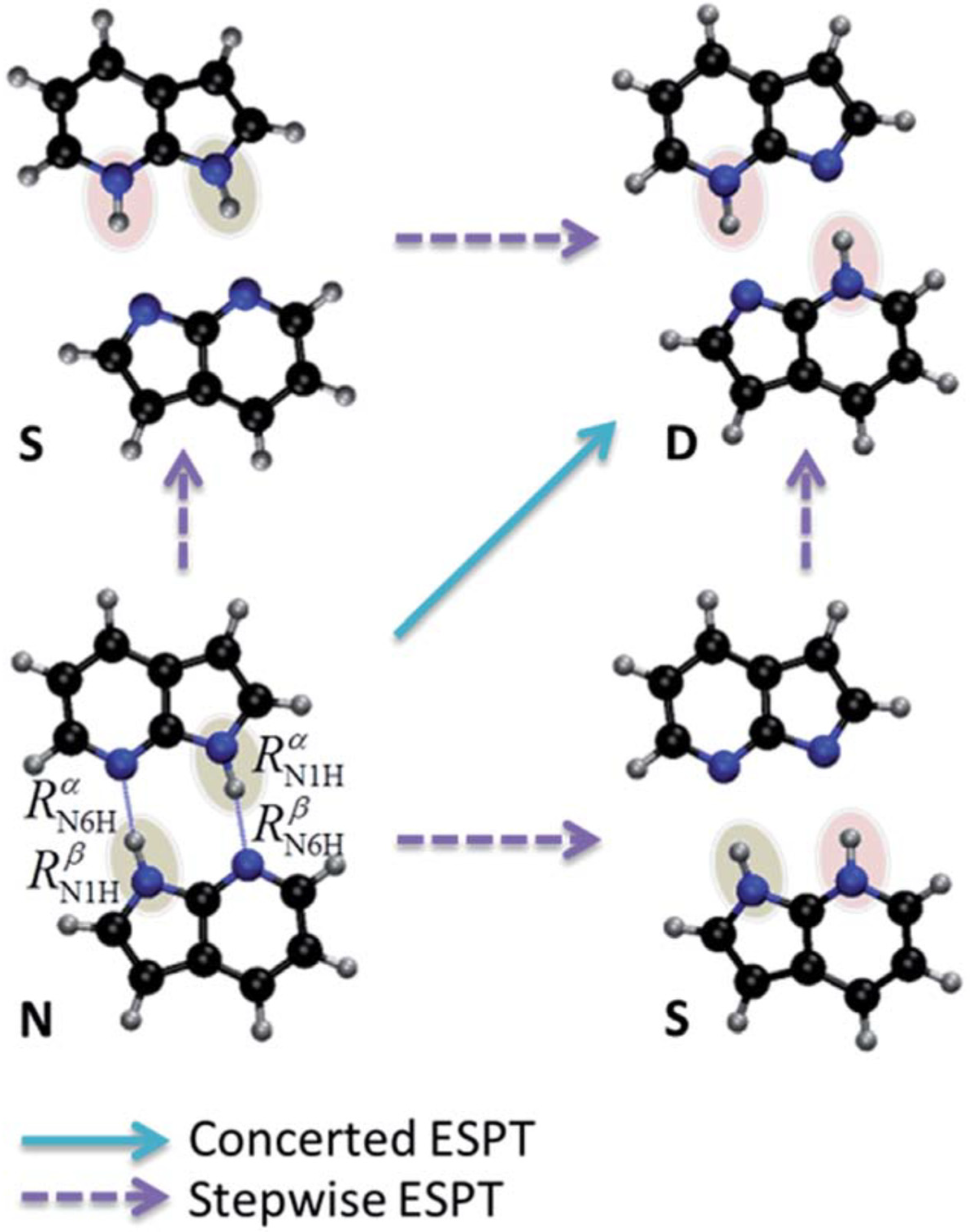 Molecules 26 01475 g009 Molecules 26 01475 g009