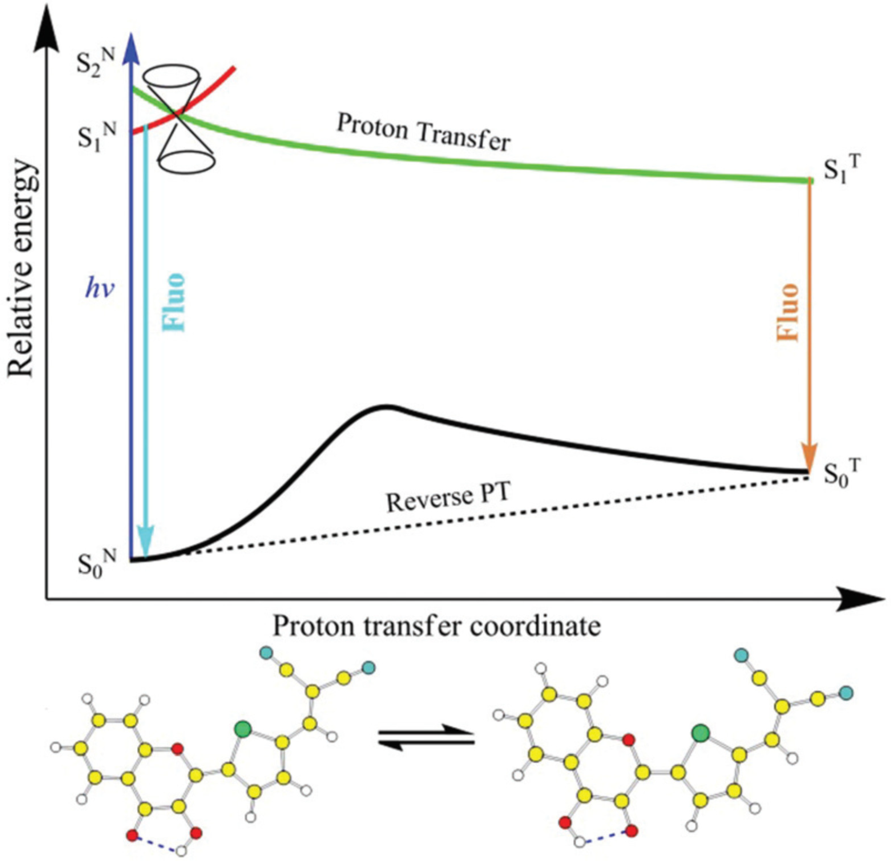 Molecules 26 01475 g011 Molecules 26 01475 g011