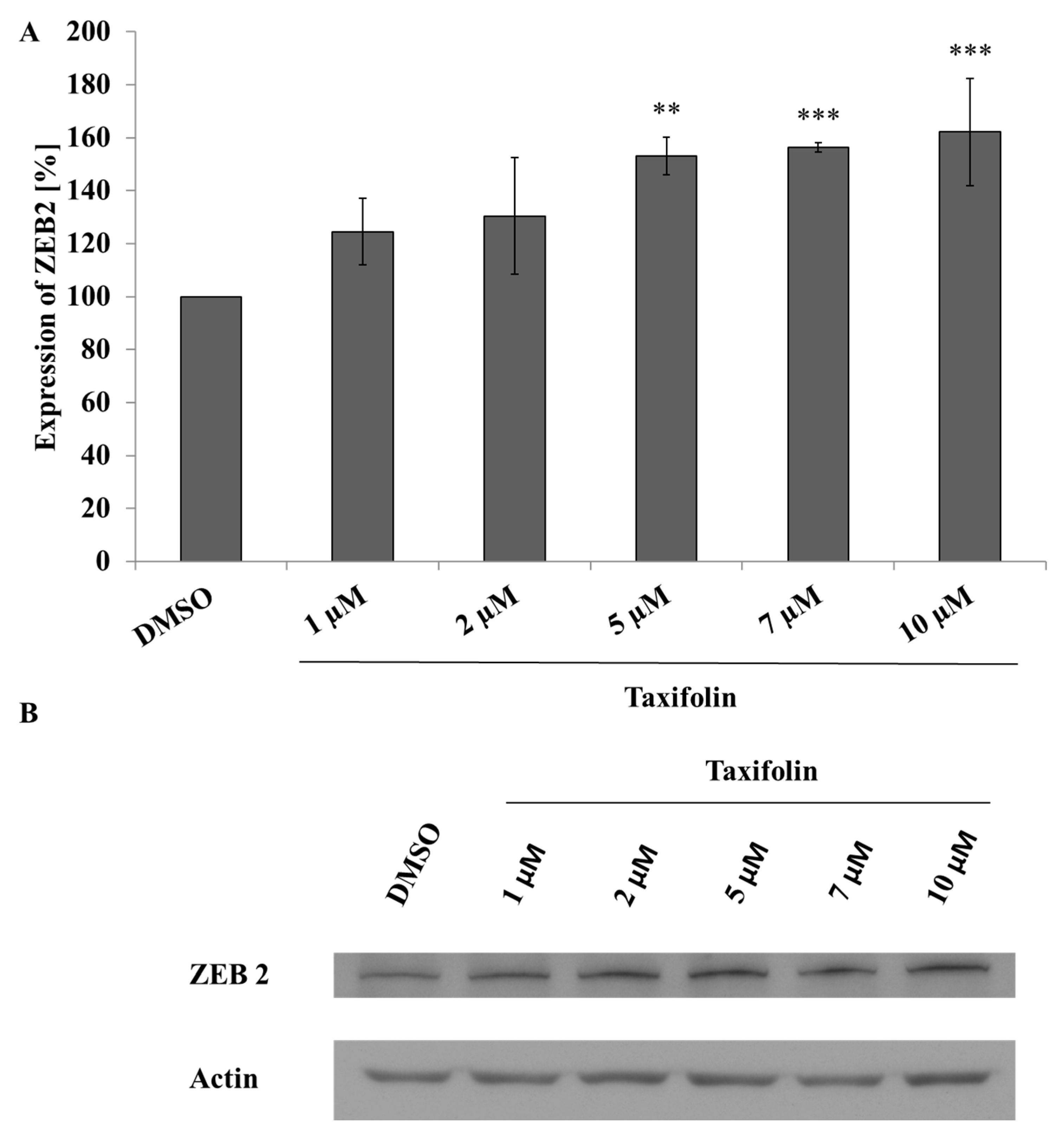 Molecules 26 01476 g002 Molecules 26 01476 g002