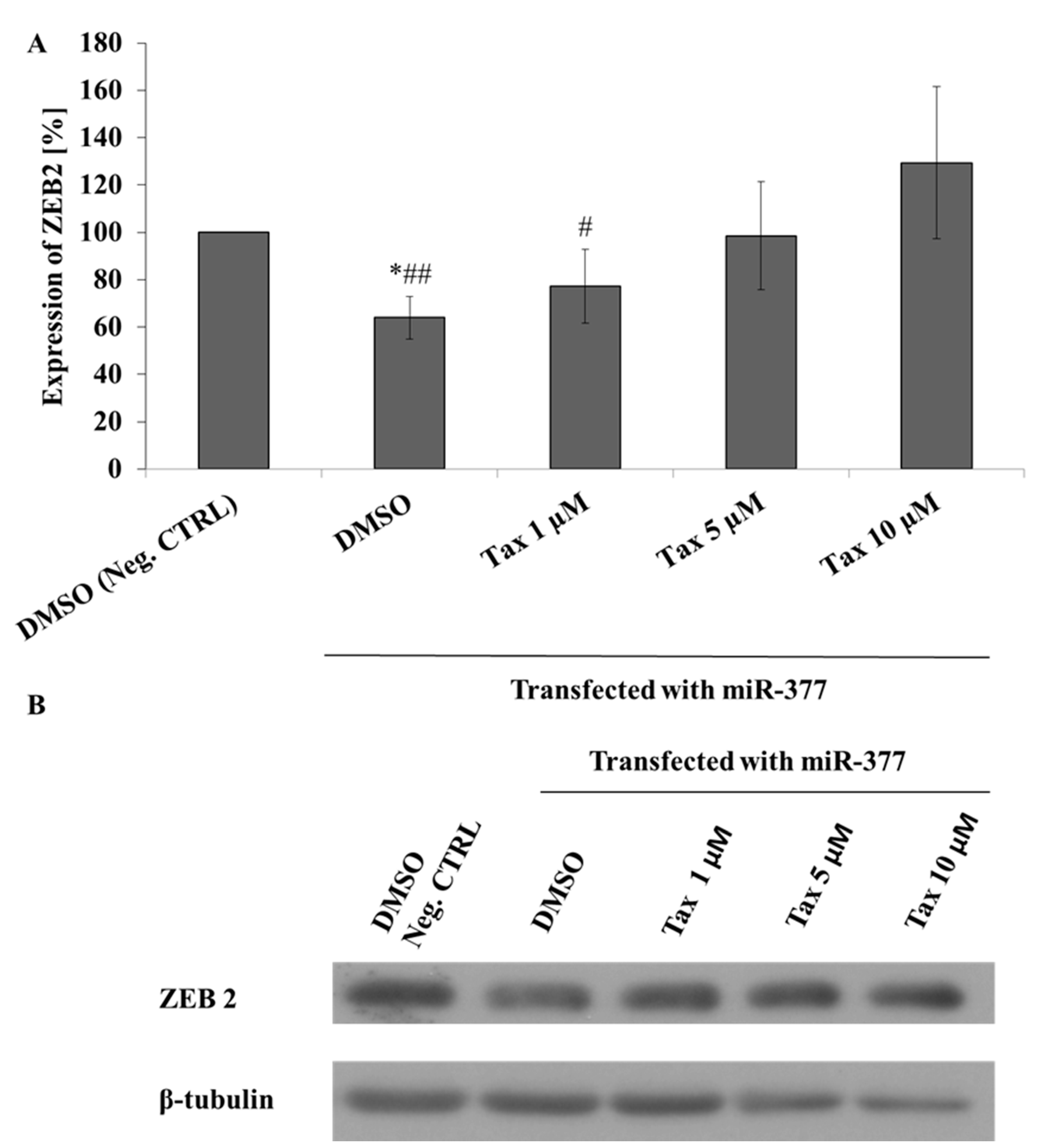 Molecules 26 01476 g005 Molecules 26 01476 g005