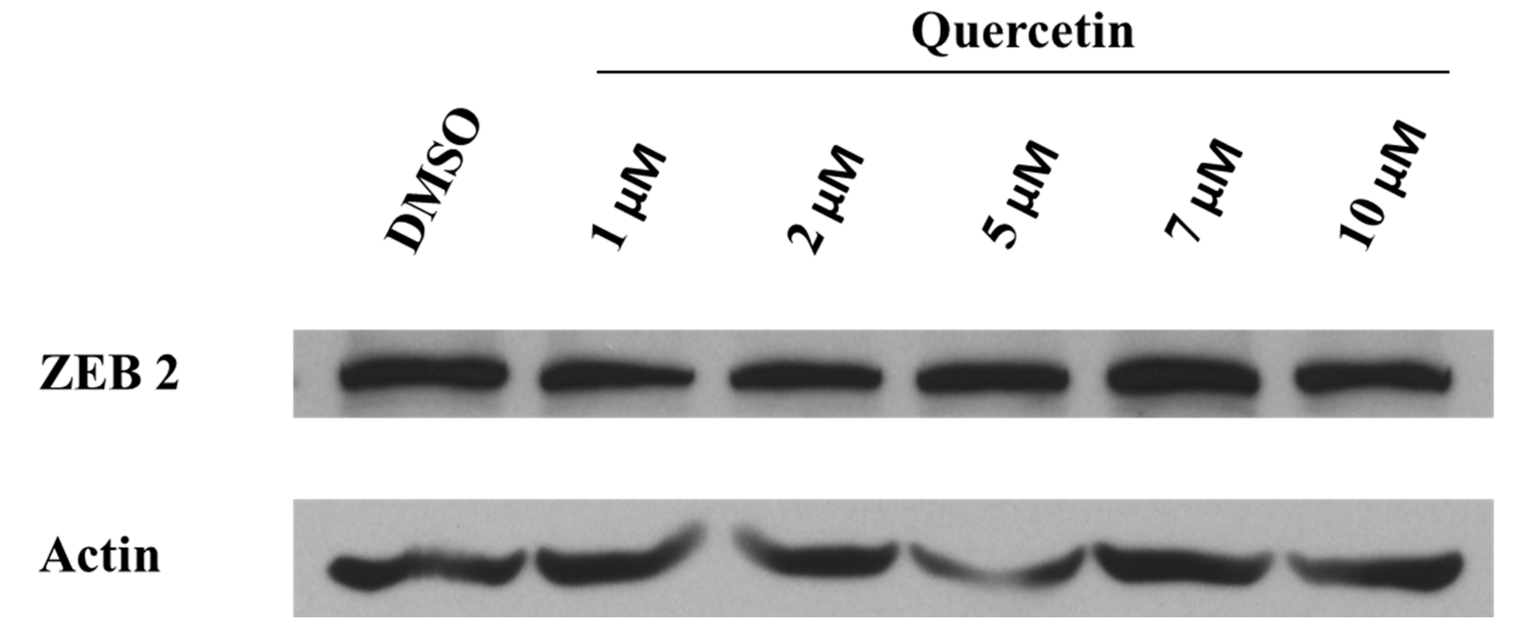 Molecules 26 01476 g0a1 Molecules 26 01476 g0a1