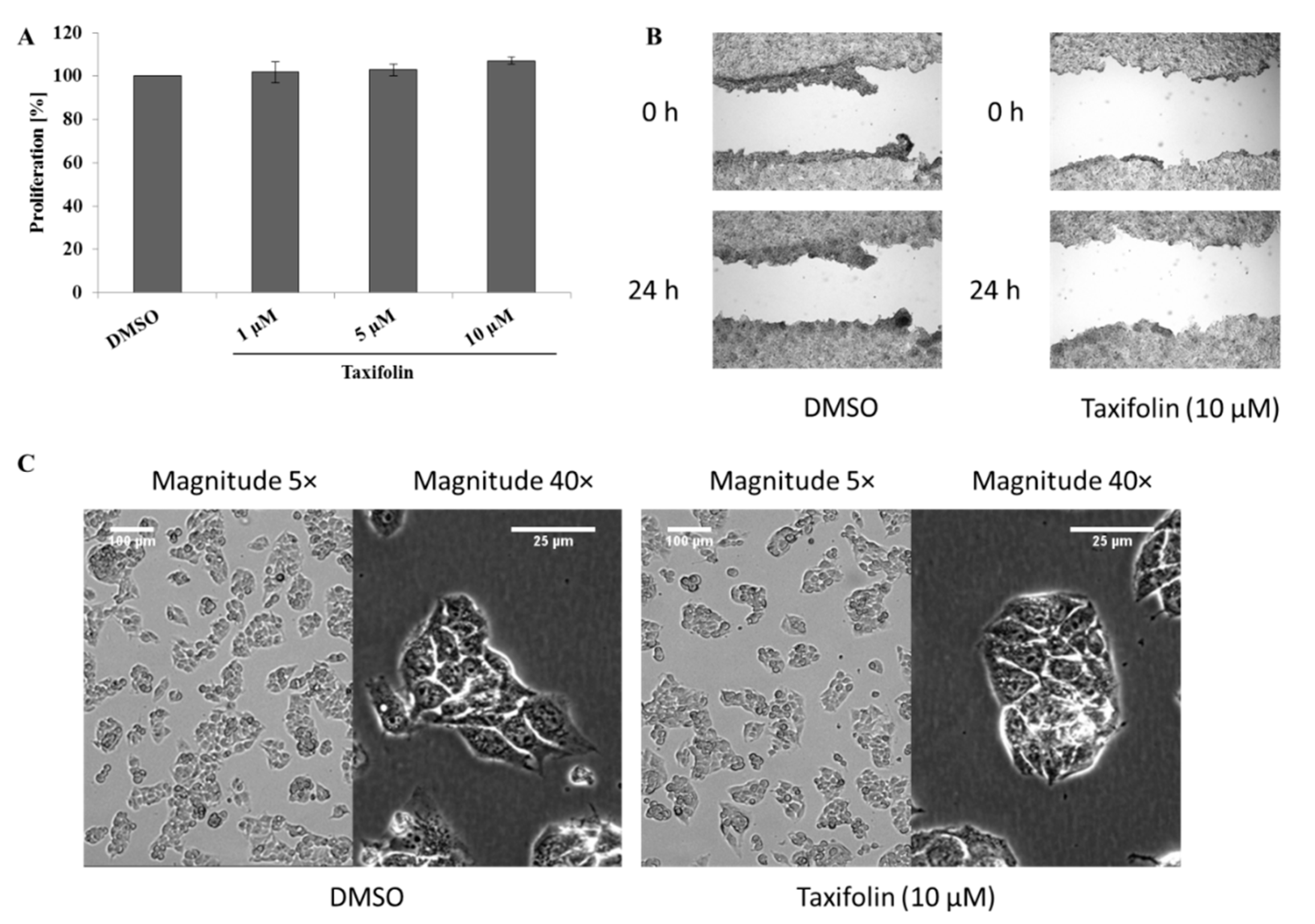Molecules 26 01476 g0a2 Molecules 26 01476 g0a2
