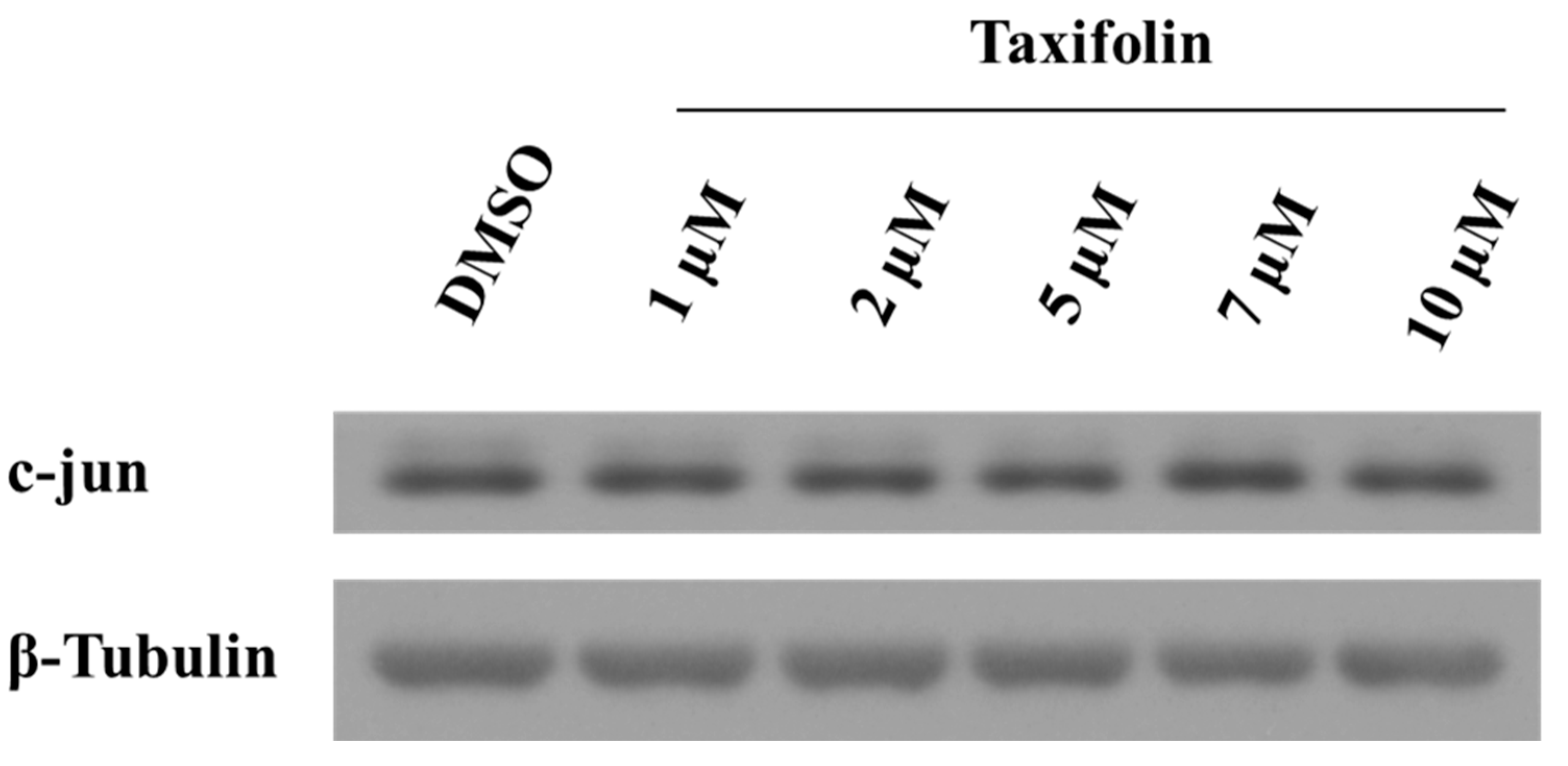 Molecules 26 01476 g0a4 Molecules 26 01476 g0a4