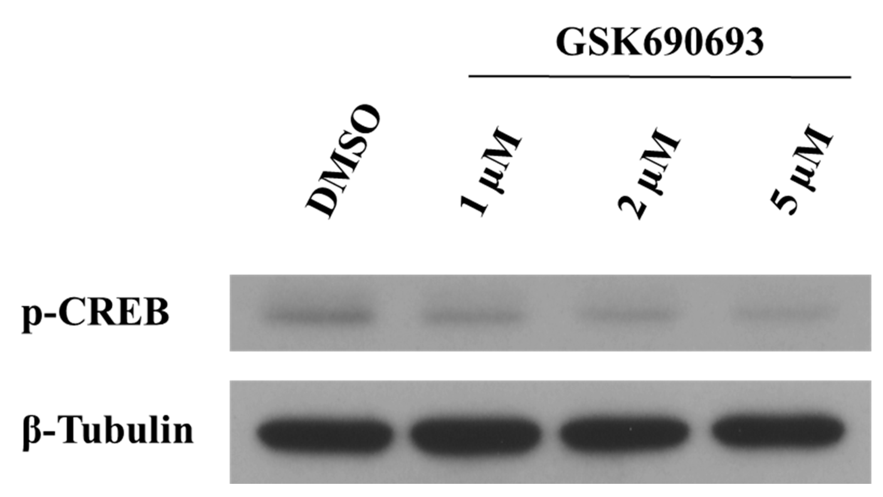 Molecules 26 01476 g0a6 Molecules 26 01476 g0a6