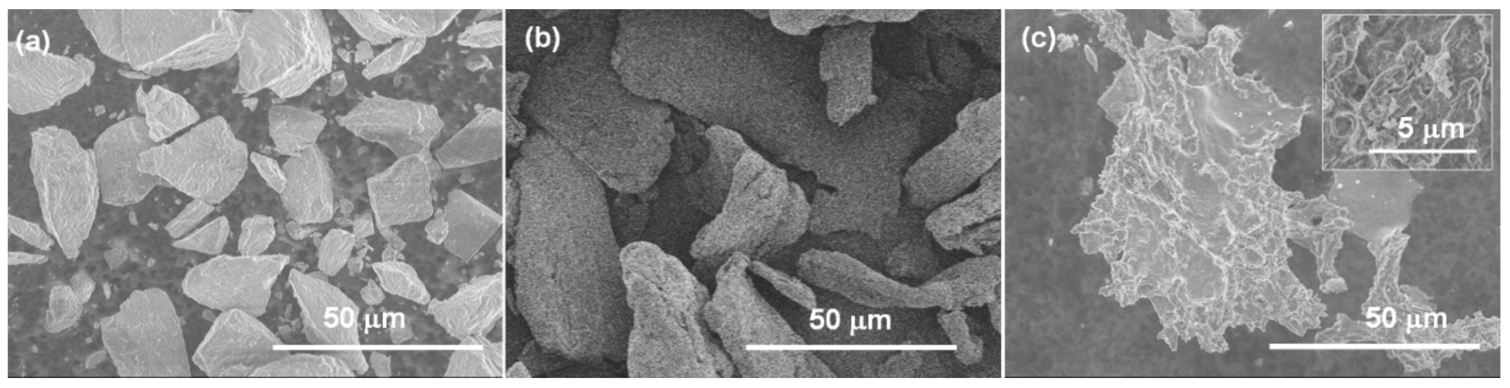 Molecules 26 01482 g001 Molecules 26 01482 g001