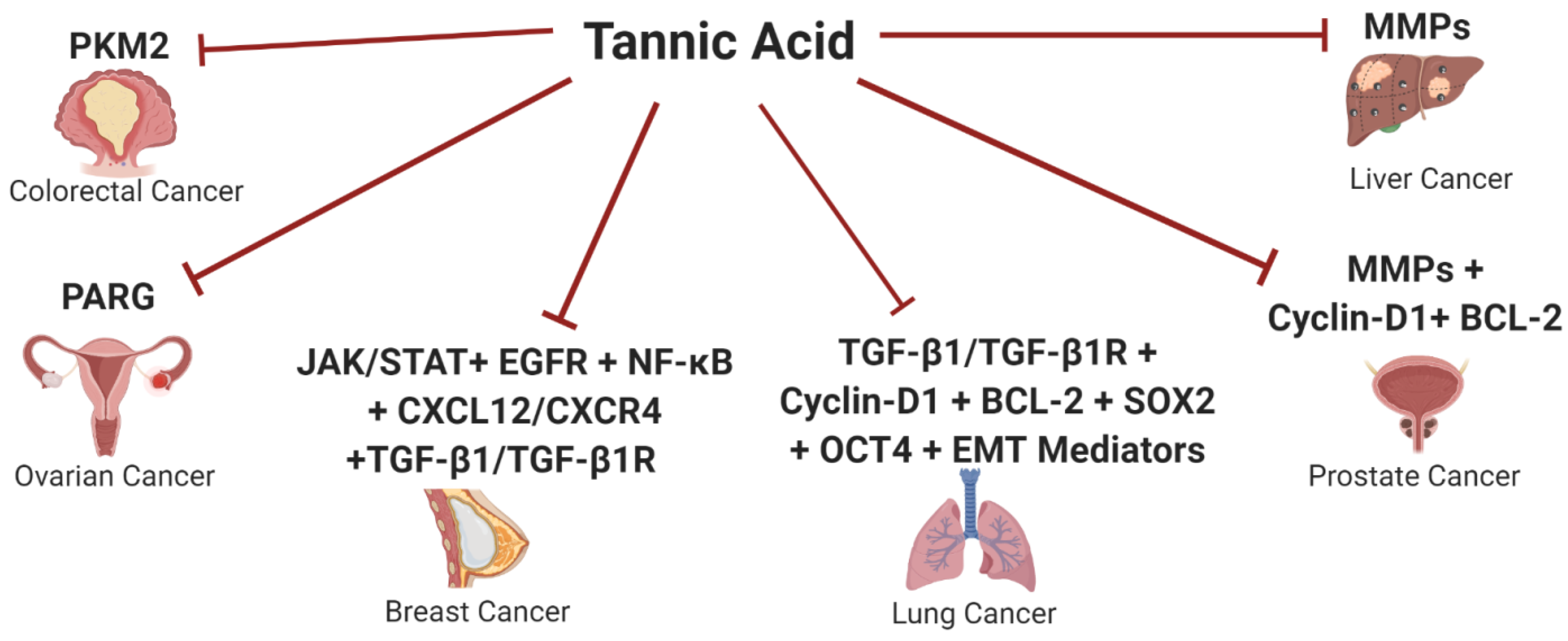 Molecules 26 01486 g004