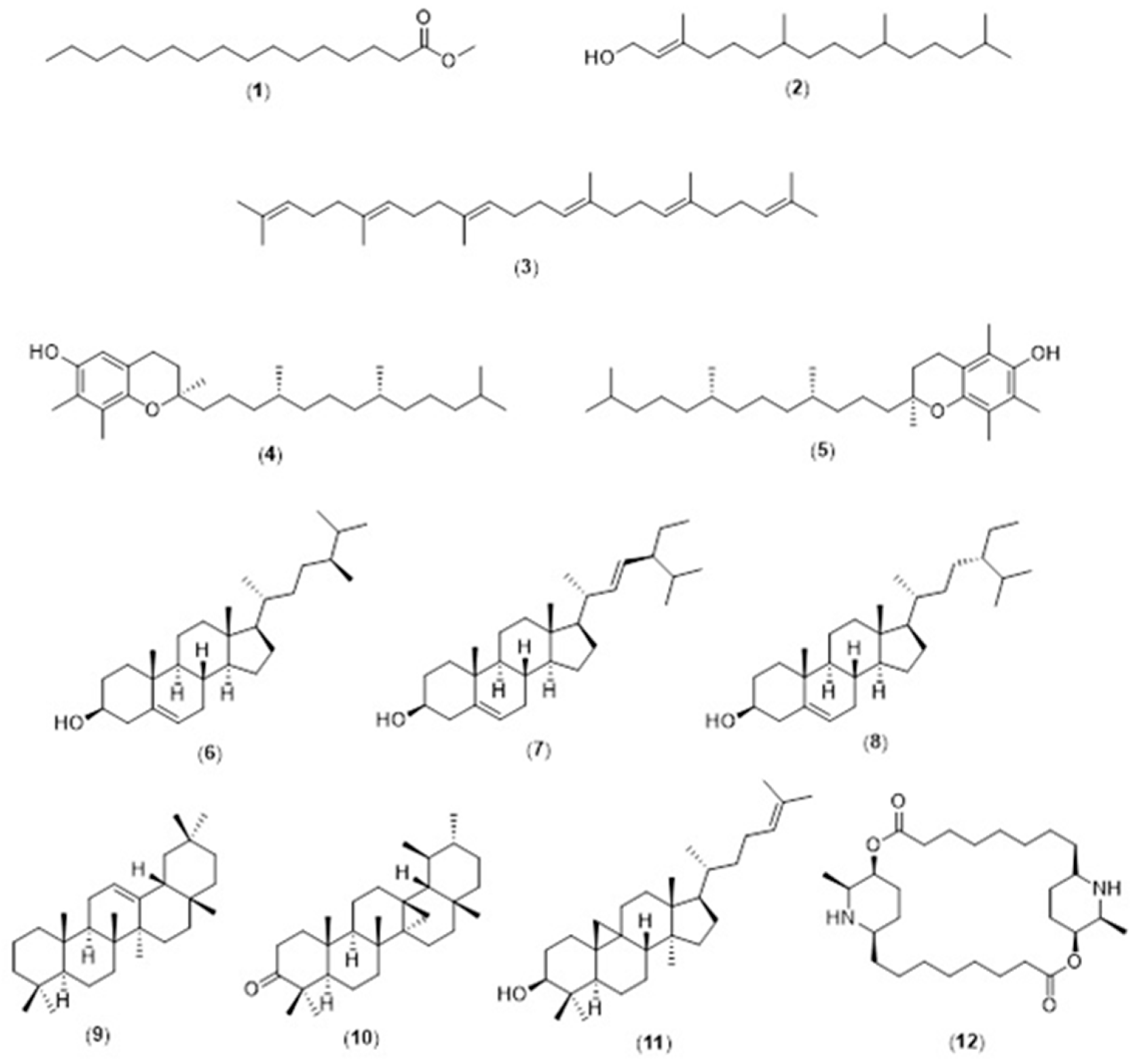 Molecules 26 01489 g002