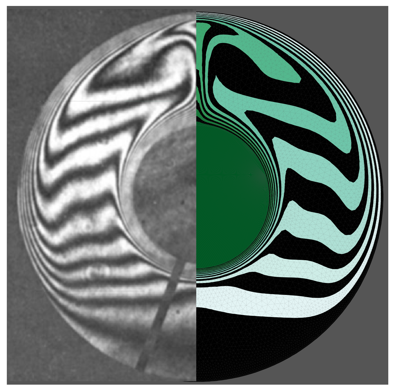 Molecules 26 01491 g008 Molecules 26 01491 g008