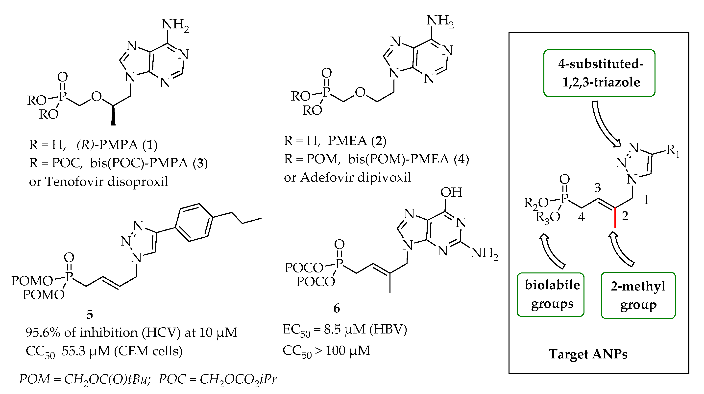 Molecules 26 01493 g001