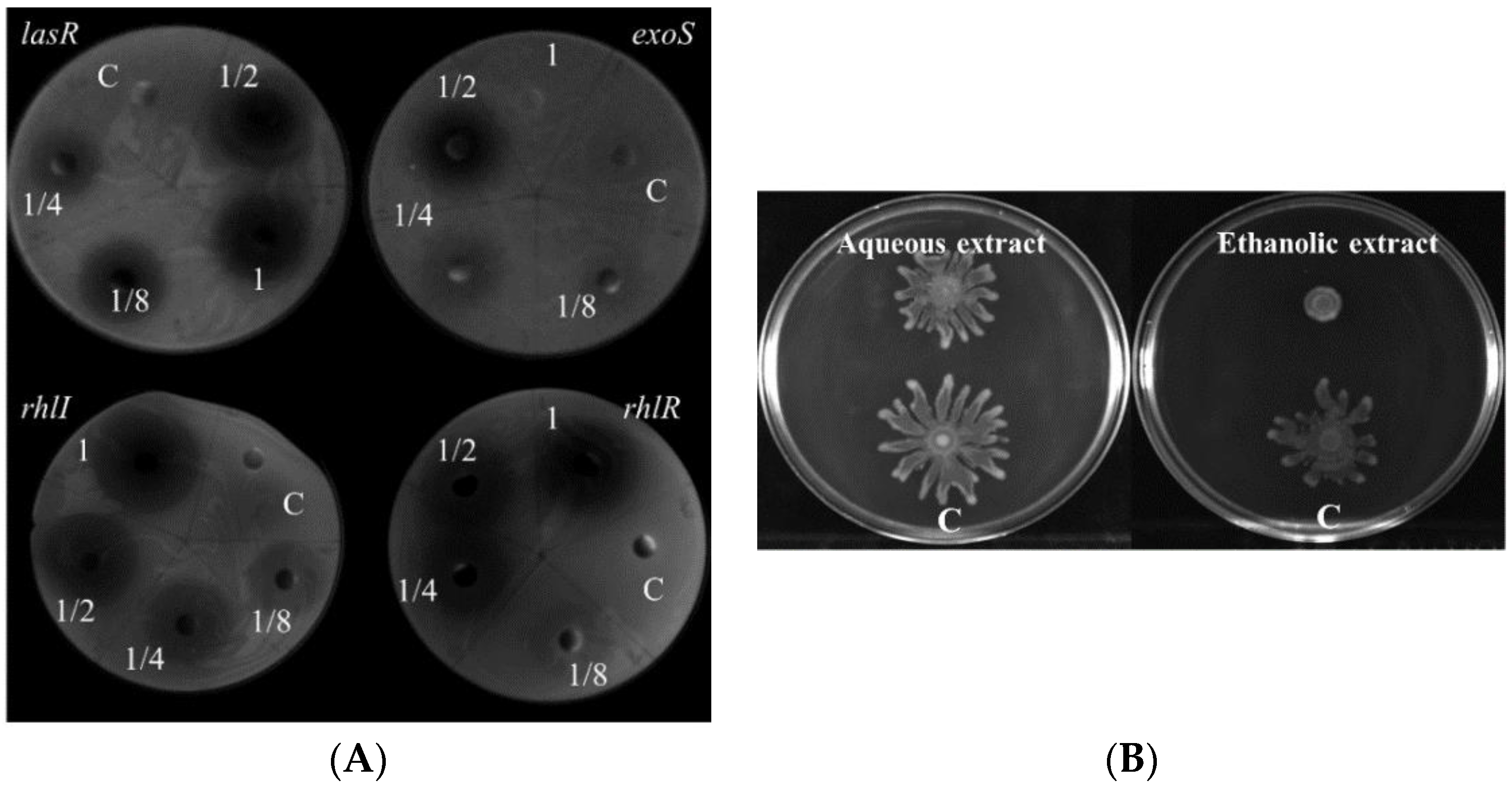 Molecules 26 01497 g001 Molecules 26 01497 g001