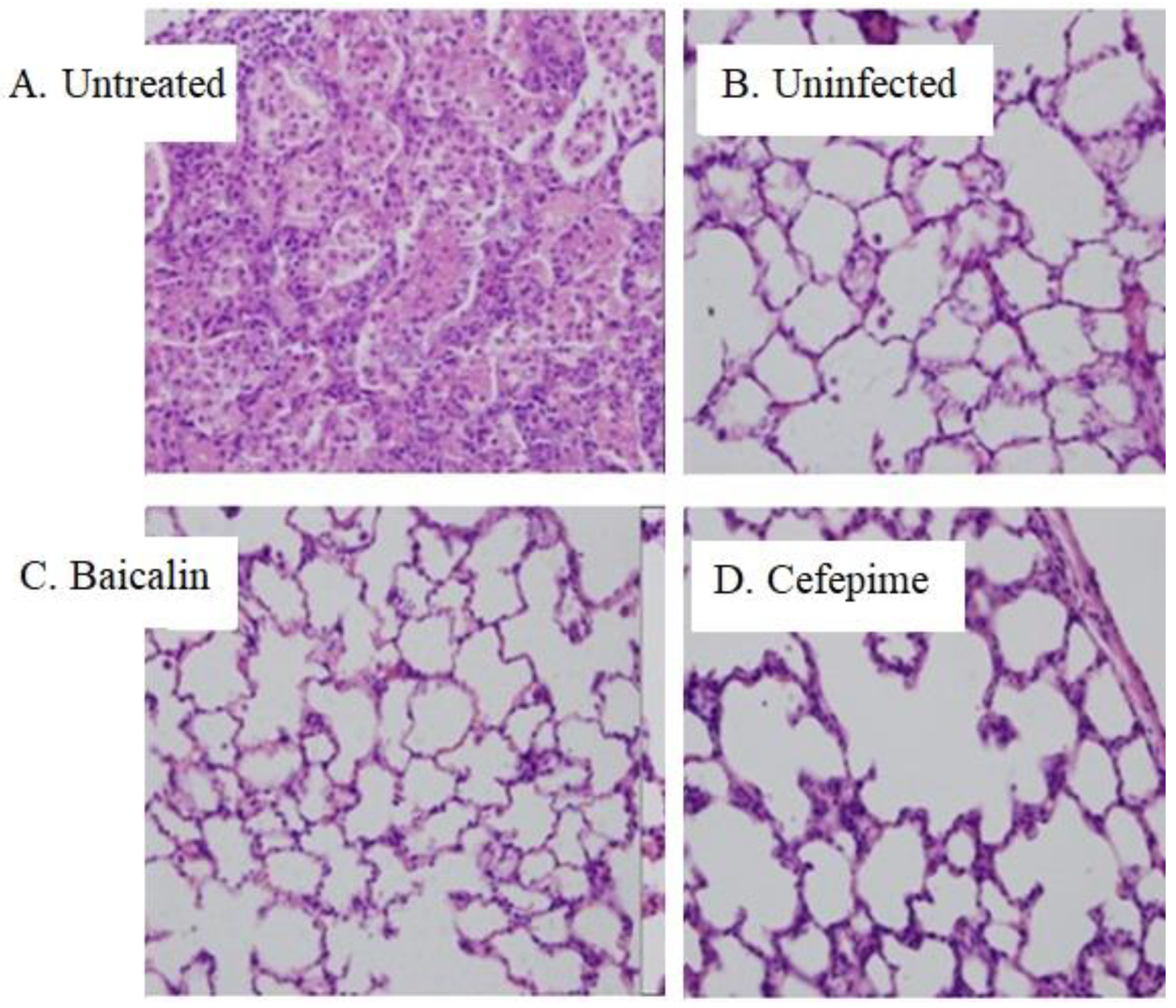 Molecules 26 01497 g006 Molecules 26 01497 g006