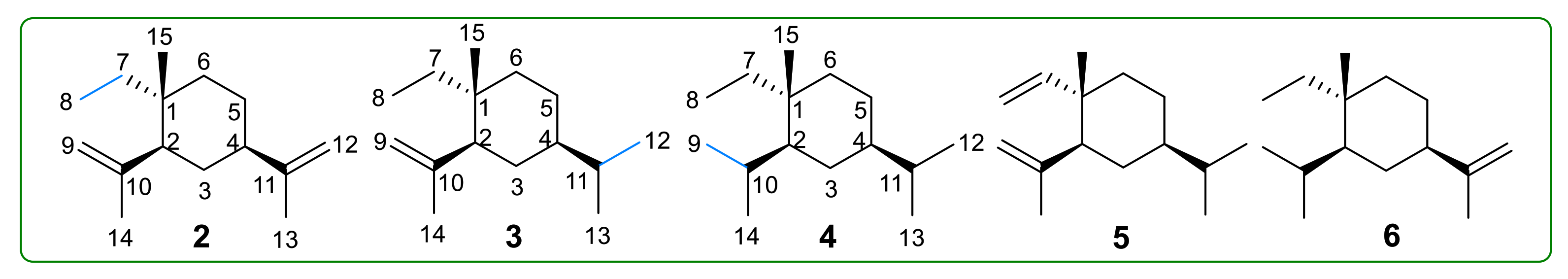 Molecules 26 01499 g003