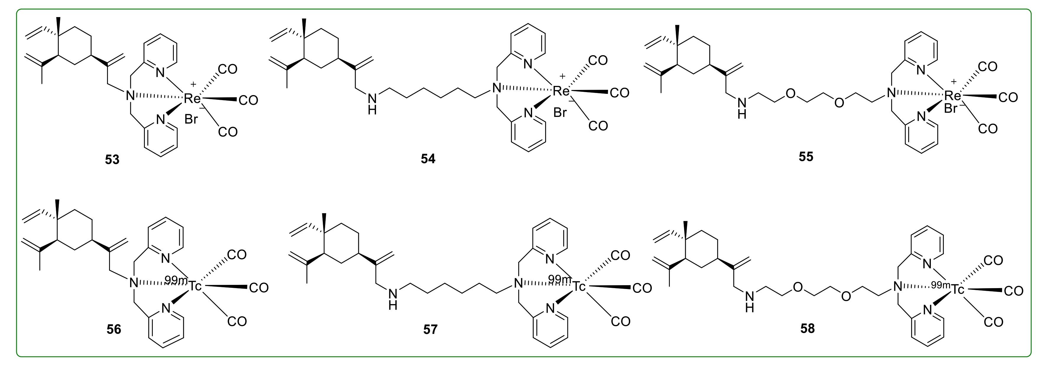 Molecules 26 01499 g019