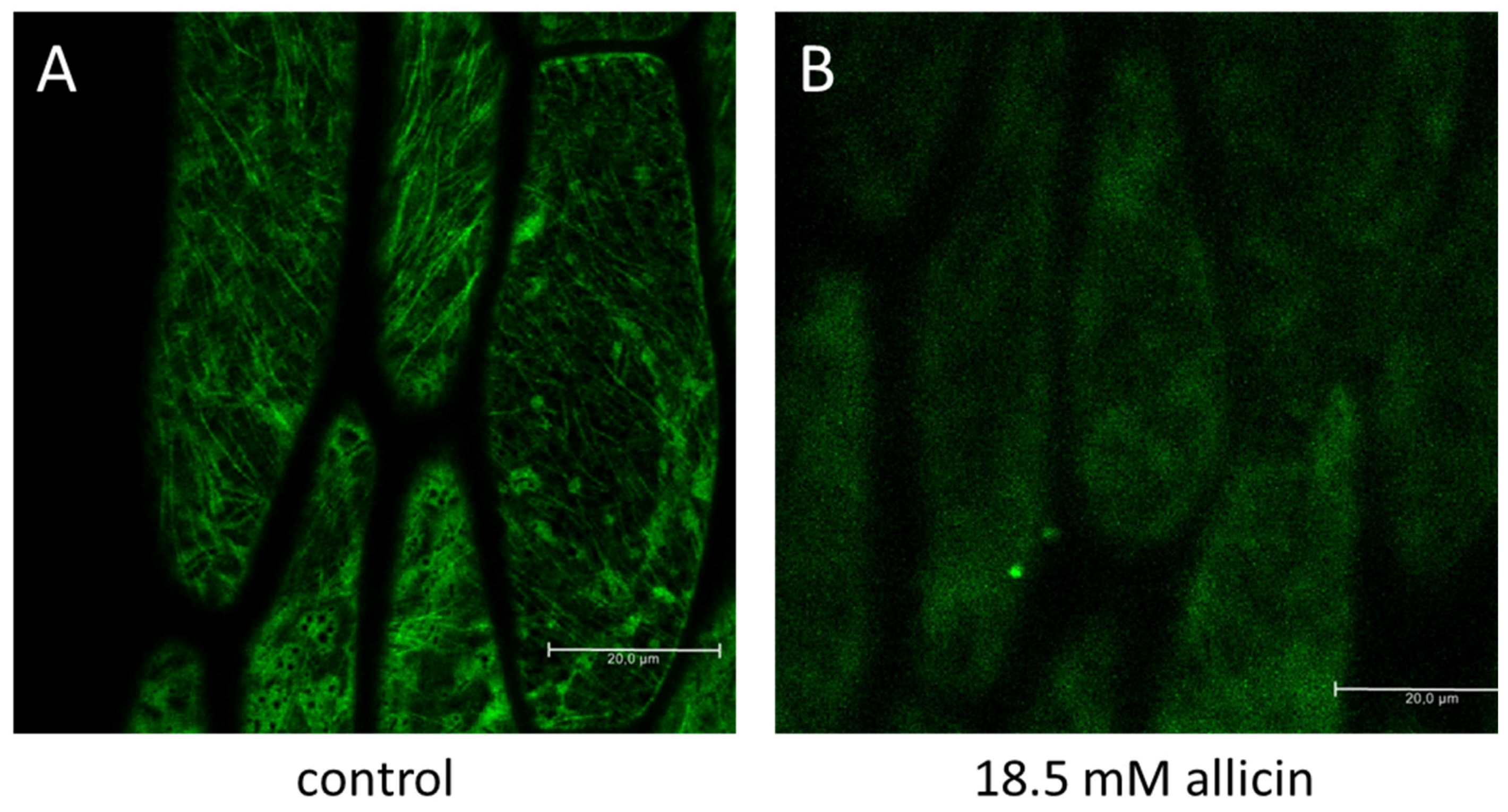 Molecules 26 01505 g002
