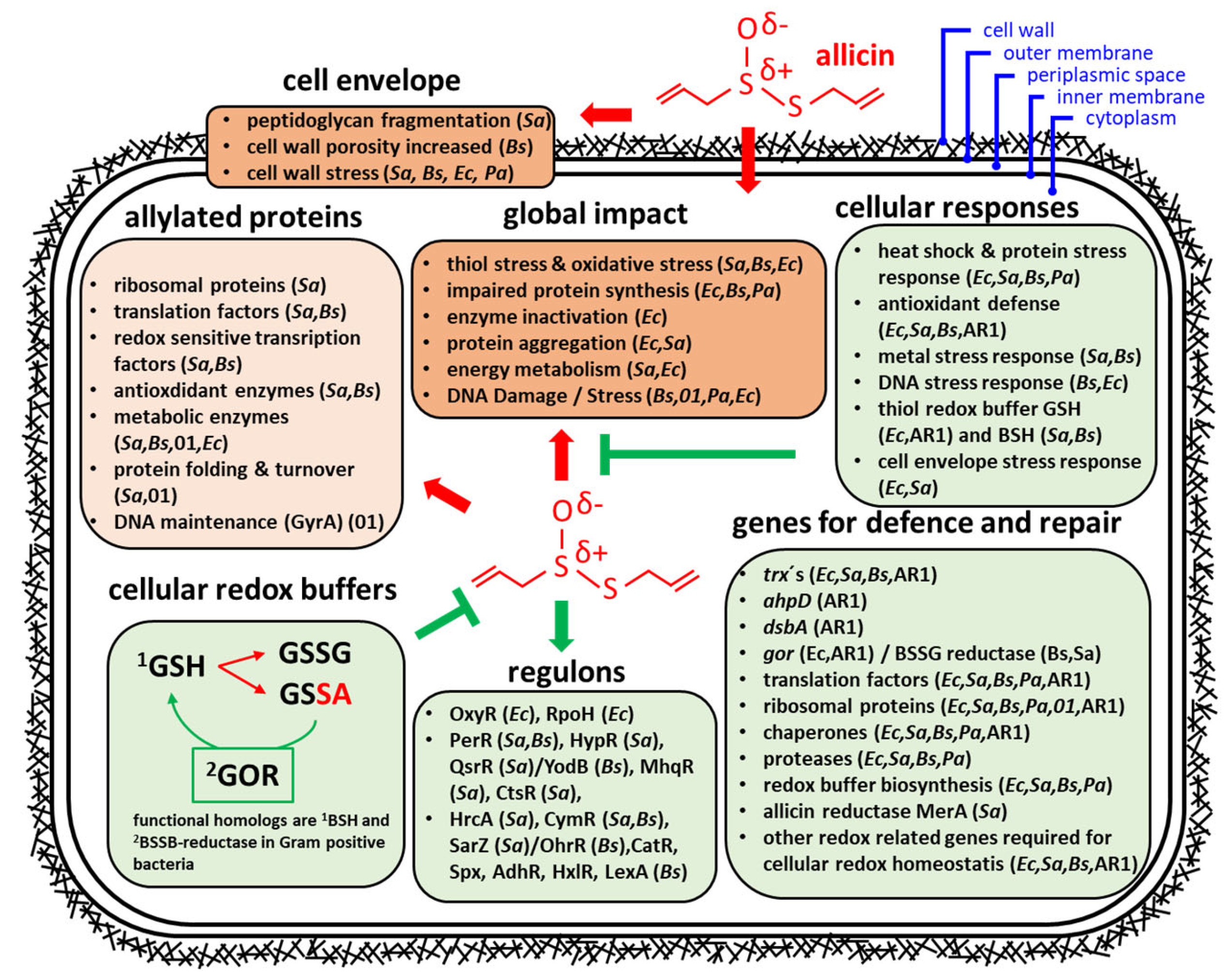 Molecules 26 01505 g004