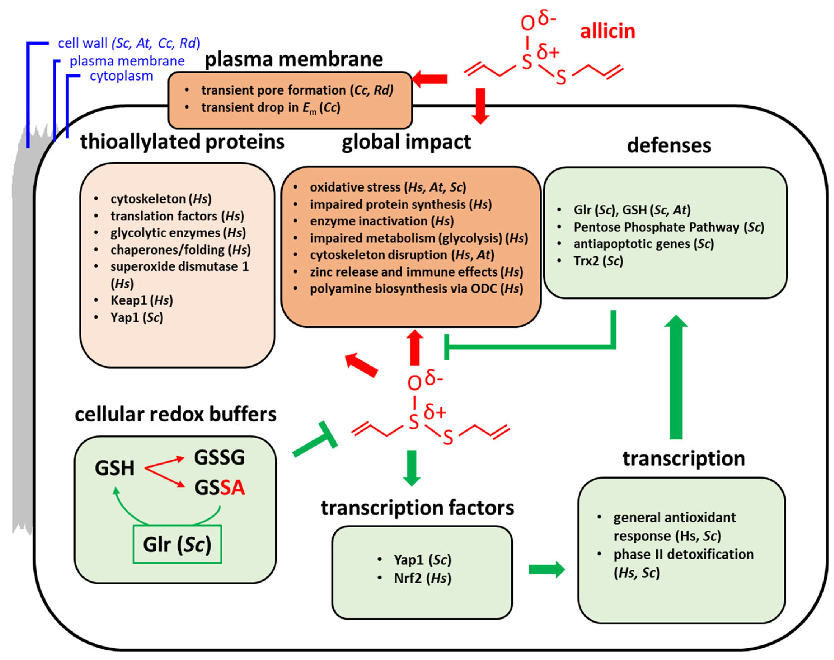 Molecules 26 01505 g005