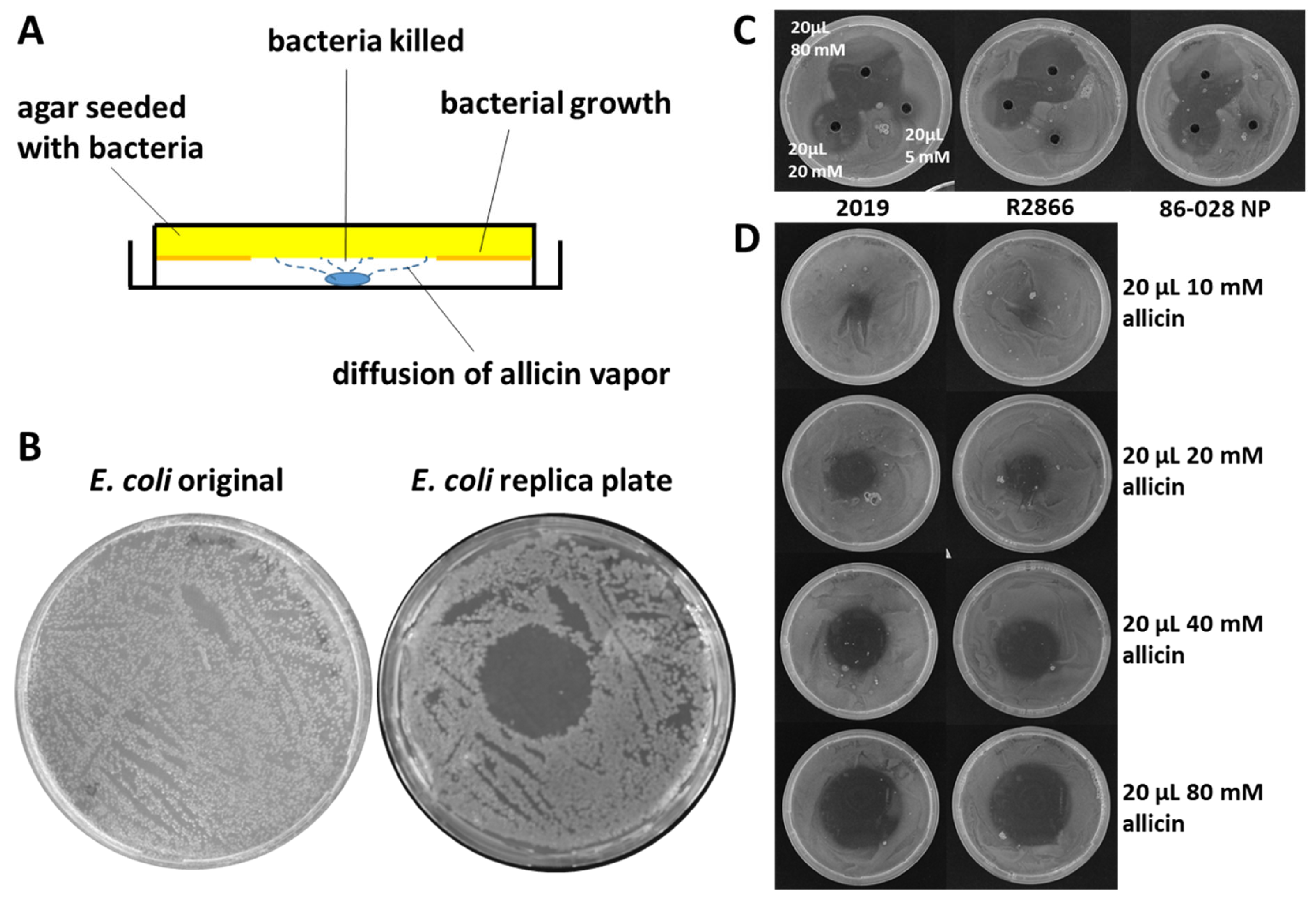 Molecules 26 01505 g006