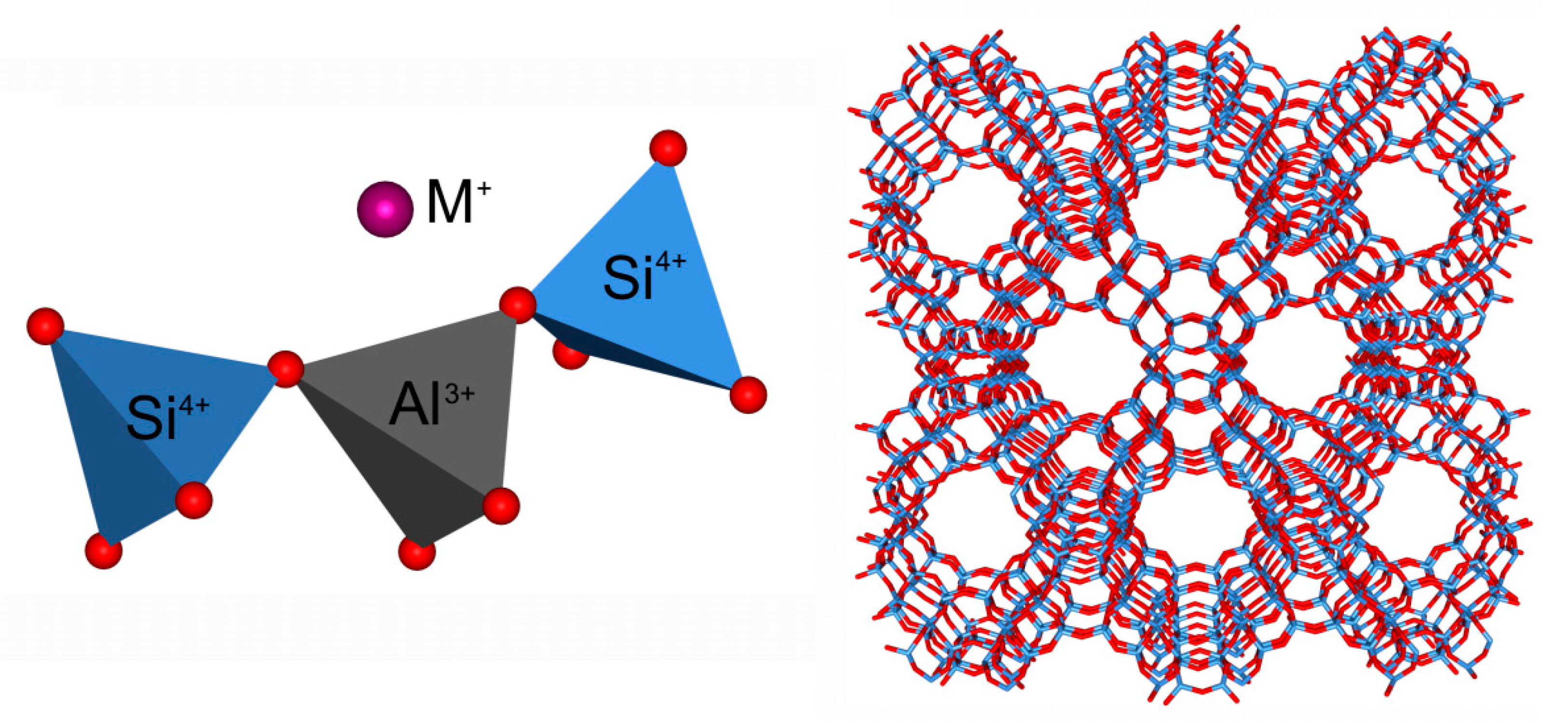 Molecules 26 01511 g001