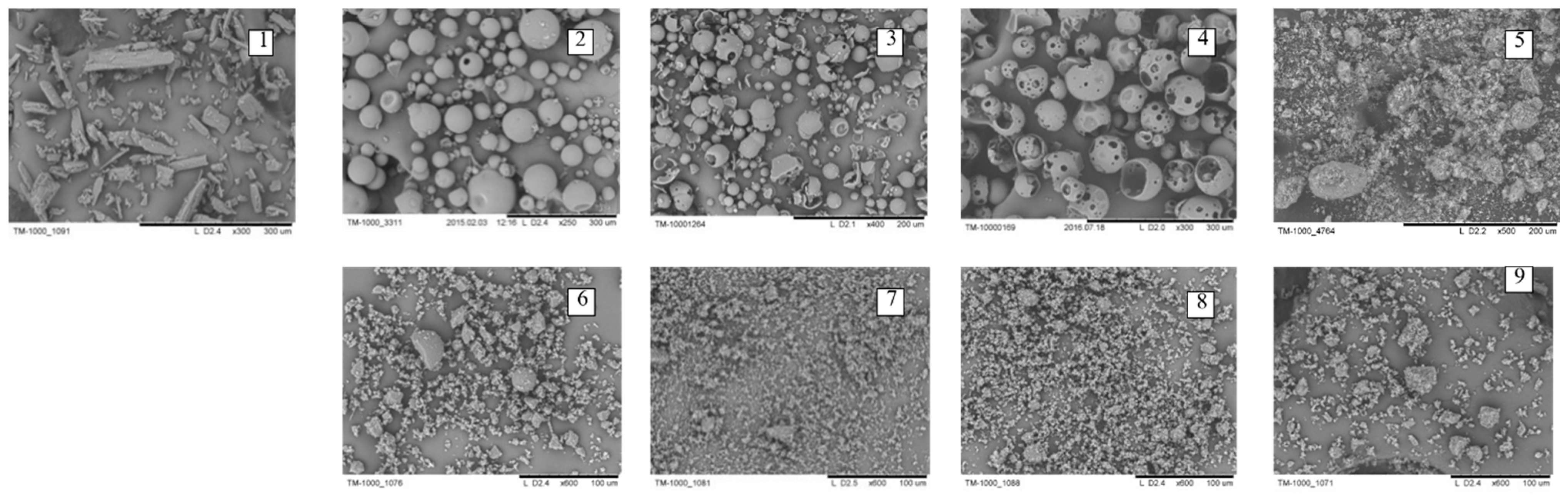 Molecules 26 01513 g004 Molecules 26 01513 g004