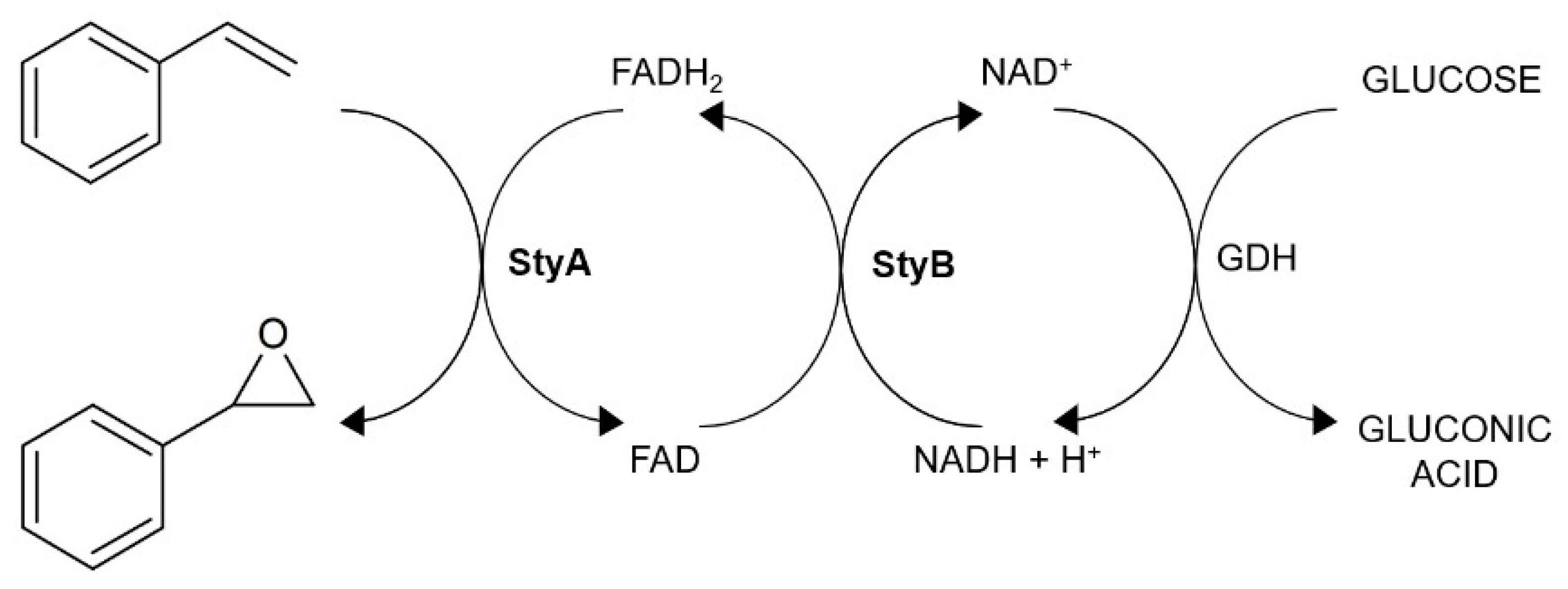 Molecules 26 01514 g002 Molecules 26 01514 g002