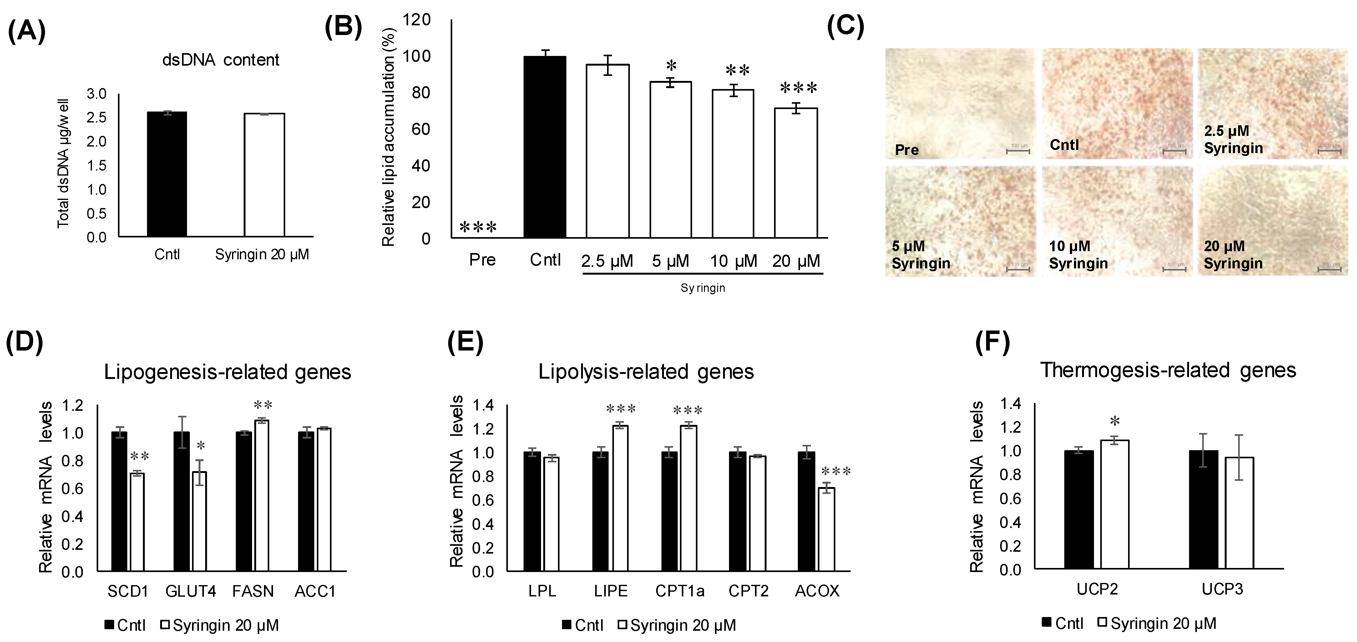 Molecules 26 01531 g004