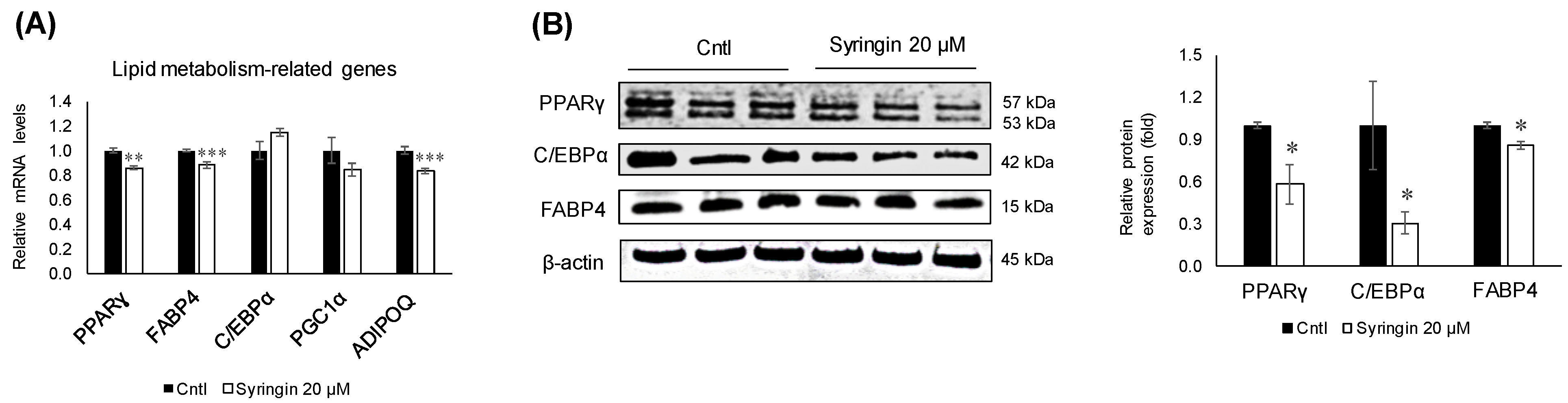 Molecules 26 01531 g005