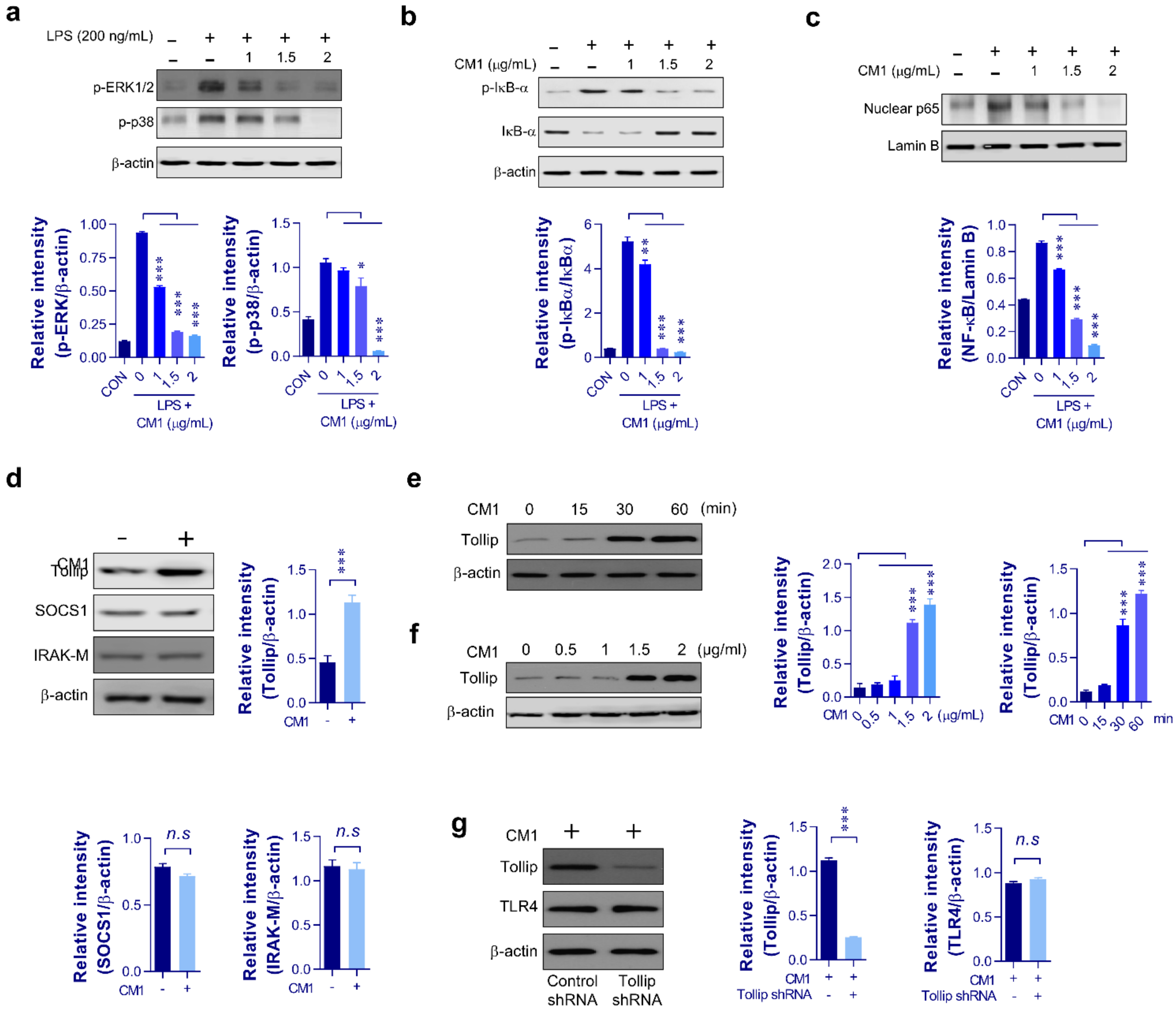 Molecules 26 01532 g002 Molecules 26 01532 g002