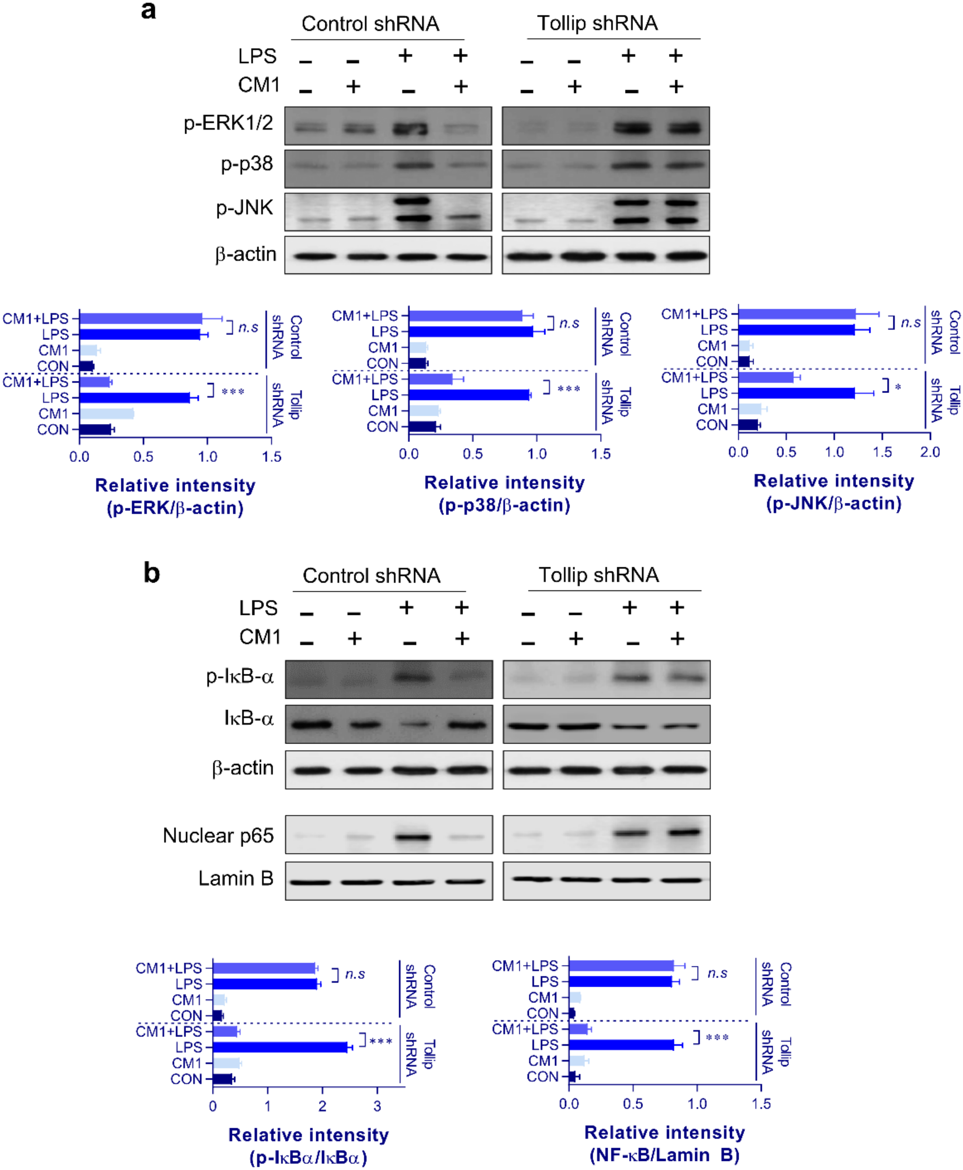 Molecules 26 01532 g005 Molecules 26 01532 g005
