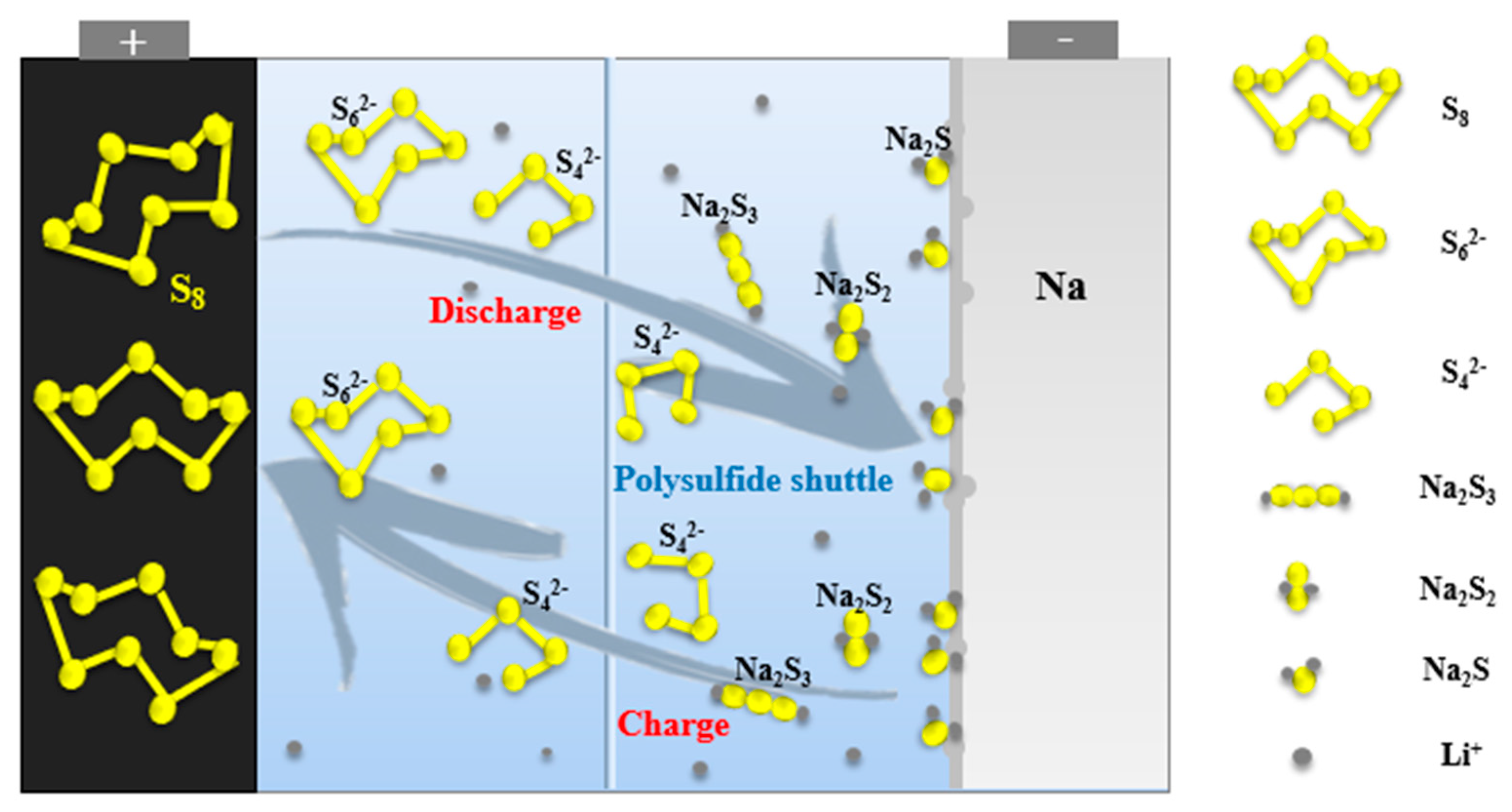 Molecules 26 01535 g002