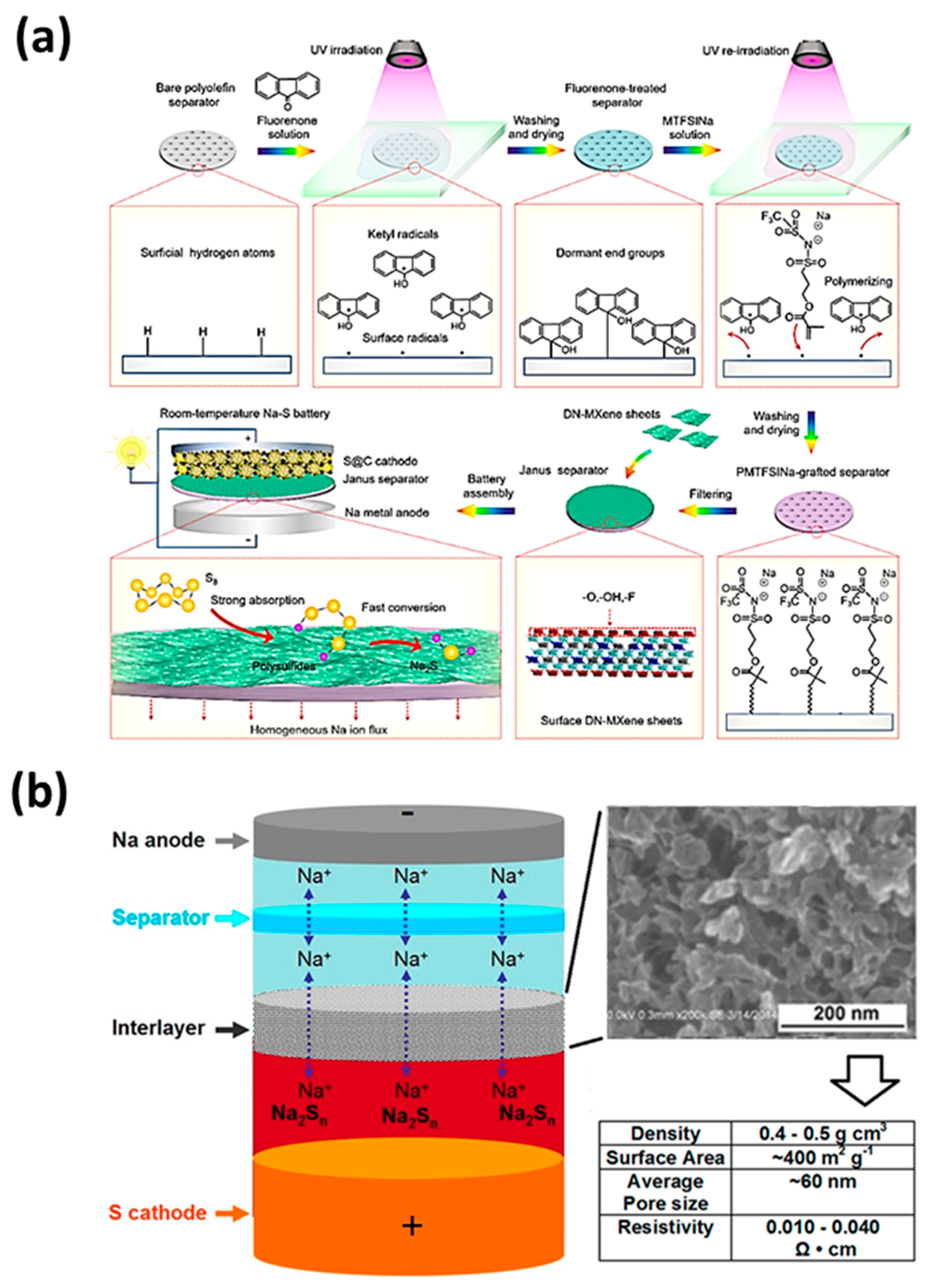 Molecules 26 01535 g006