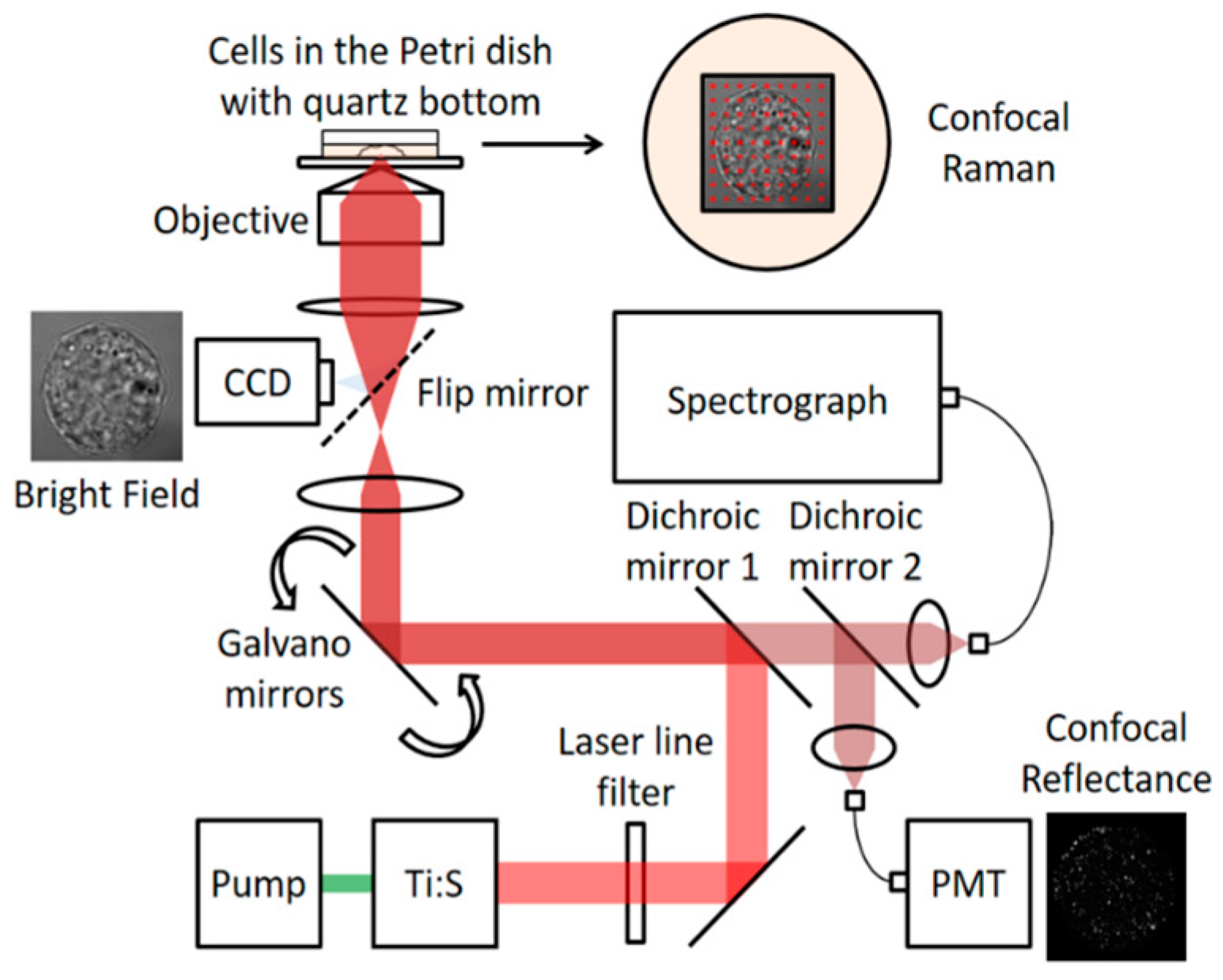 Molecules 26 01537 g004 Molecules 26 01537 g004