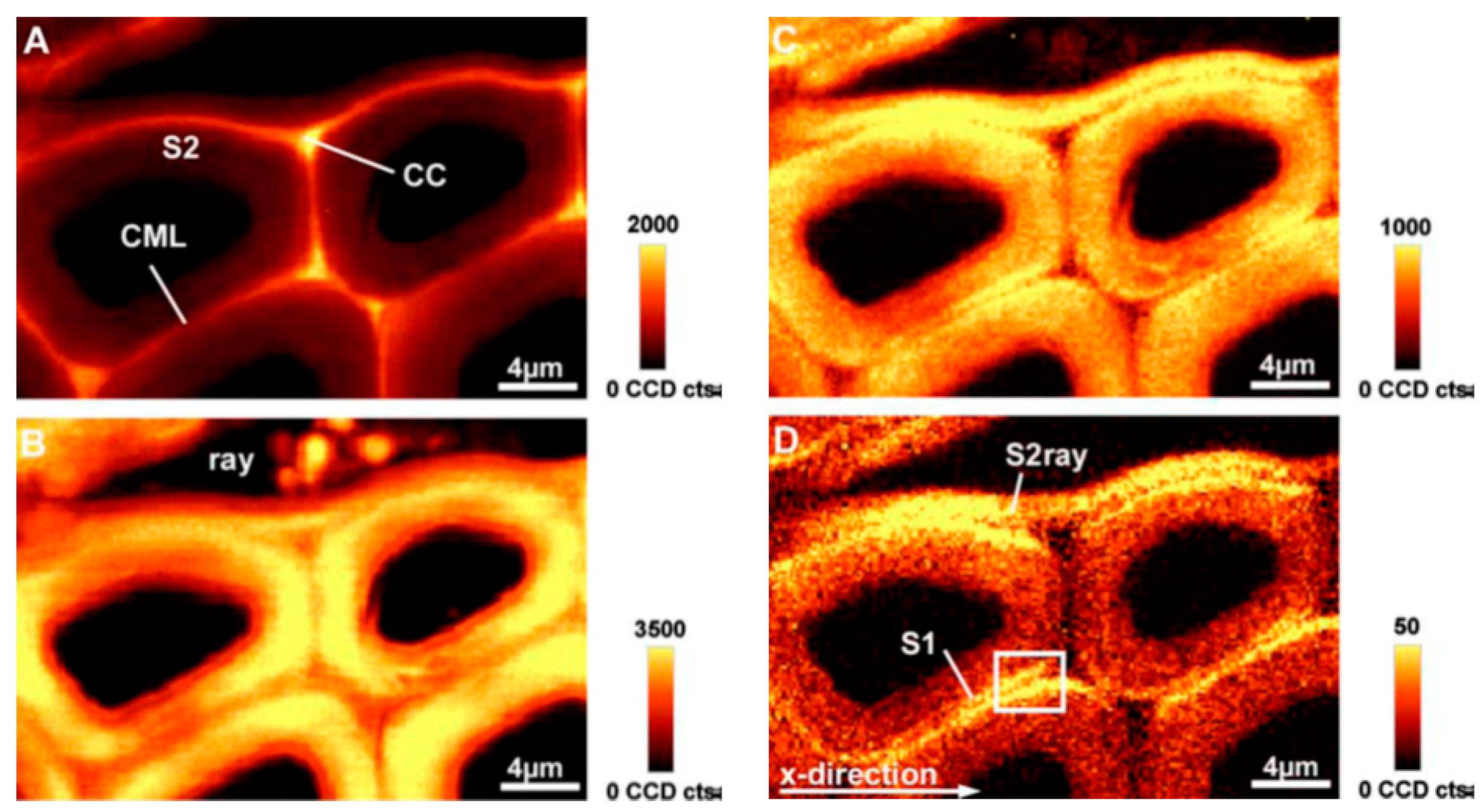 Molecules 26 01537 g005 Molecules 26 01537 g005