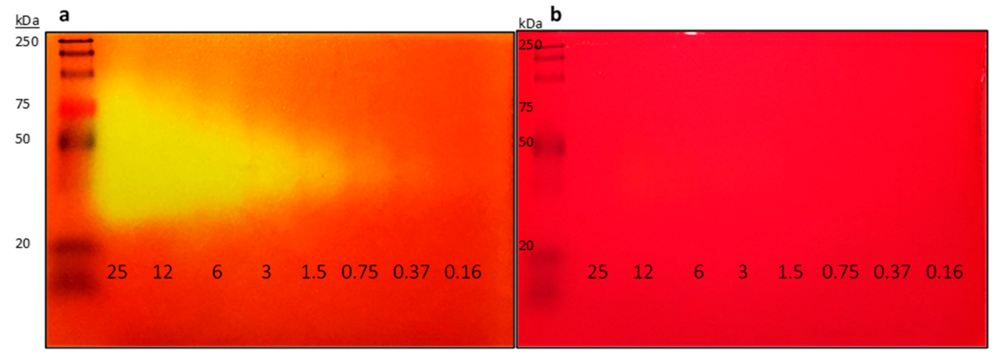 Molecules 26 01542 g001 Molecules 26 01542 g001