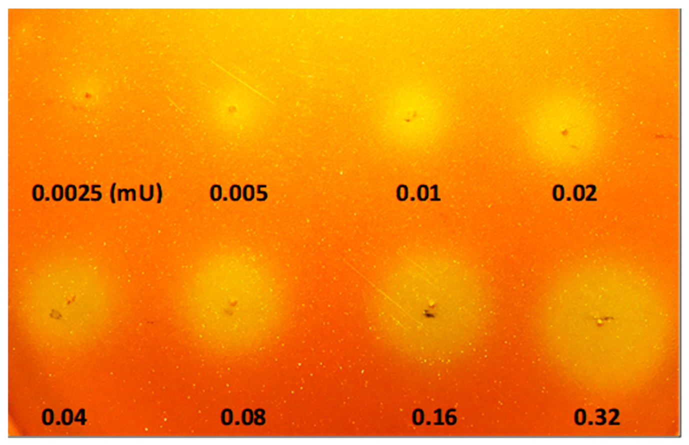 Molecules 26 01542 g002 Molecules 26 01542 g002