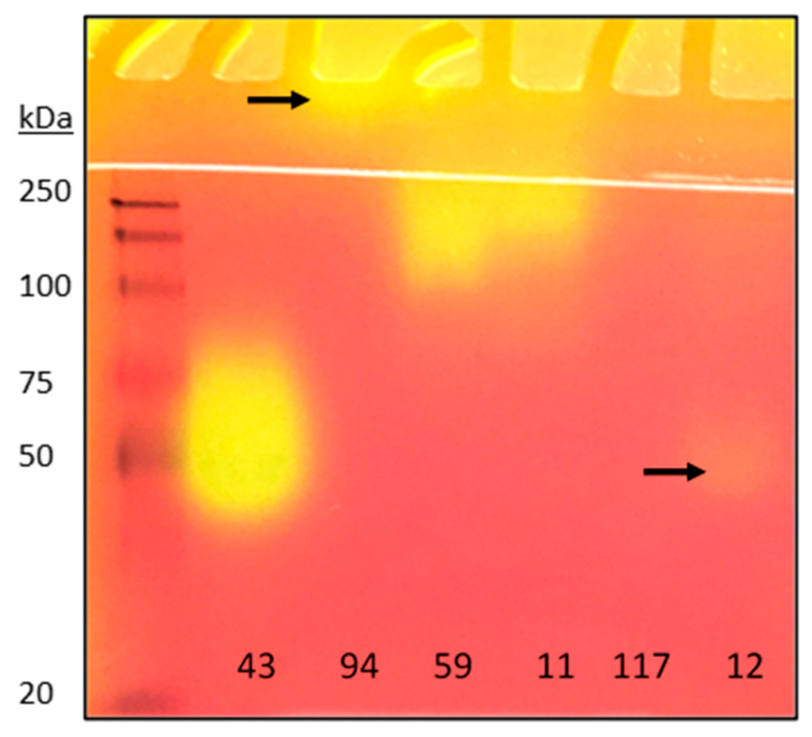 Molecules 26 01542 g003 Molecules 26 01542 g003