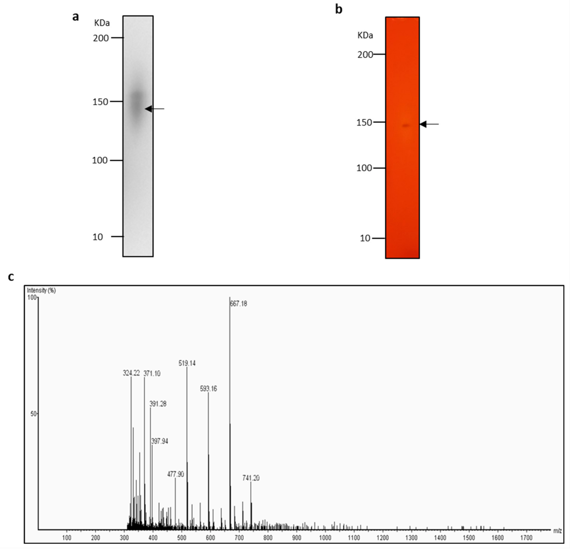 Molecules 26 01542 g004 Molecules 26 01542 g004