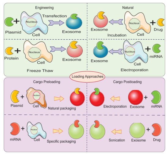 Molecules 26 01544 g005 550
