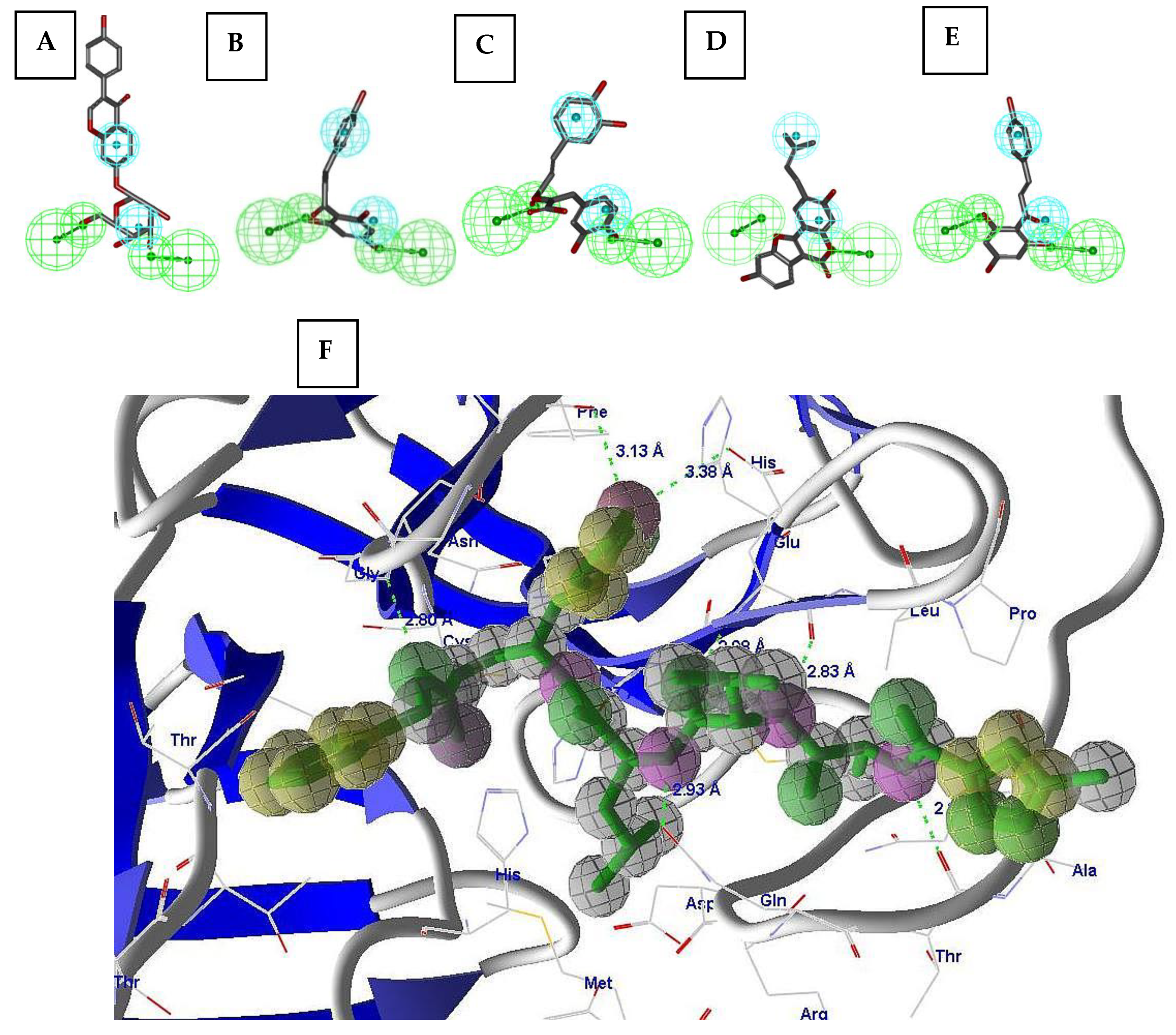 Molecules 26 01549 g002
