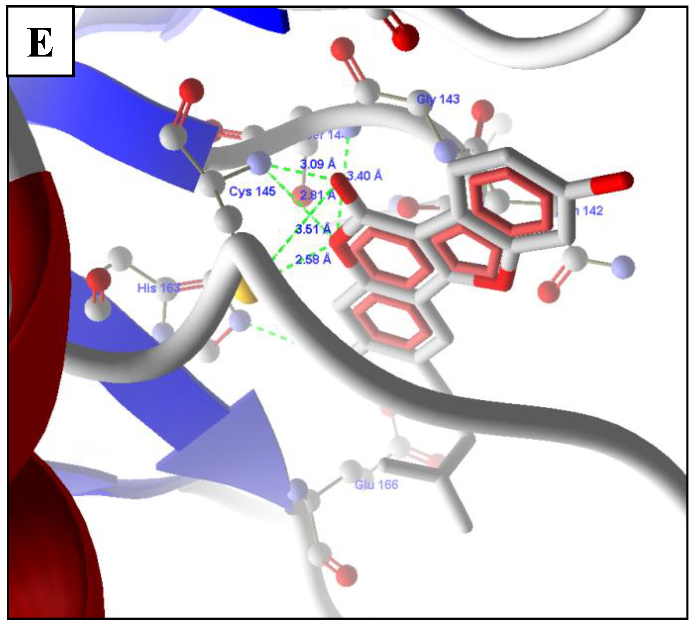 Molecules 26 01549 g003b