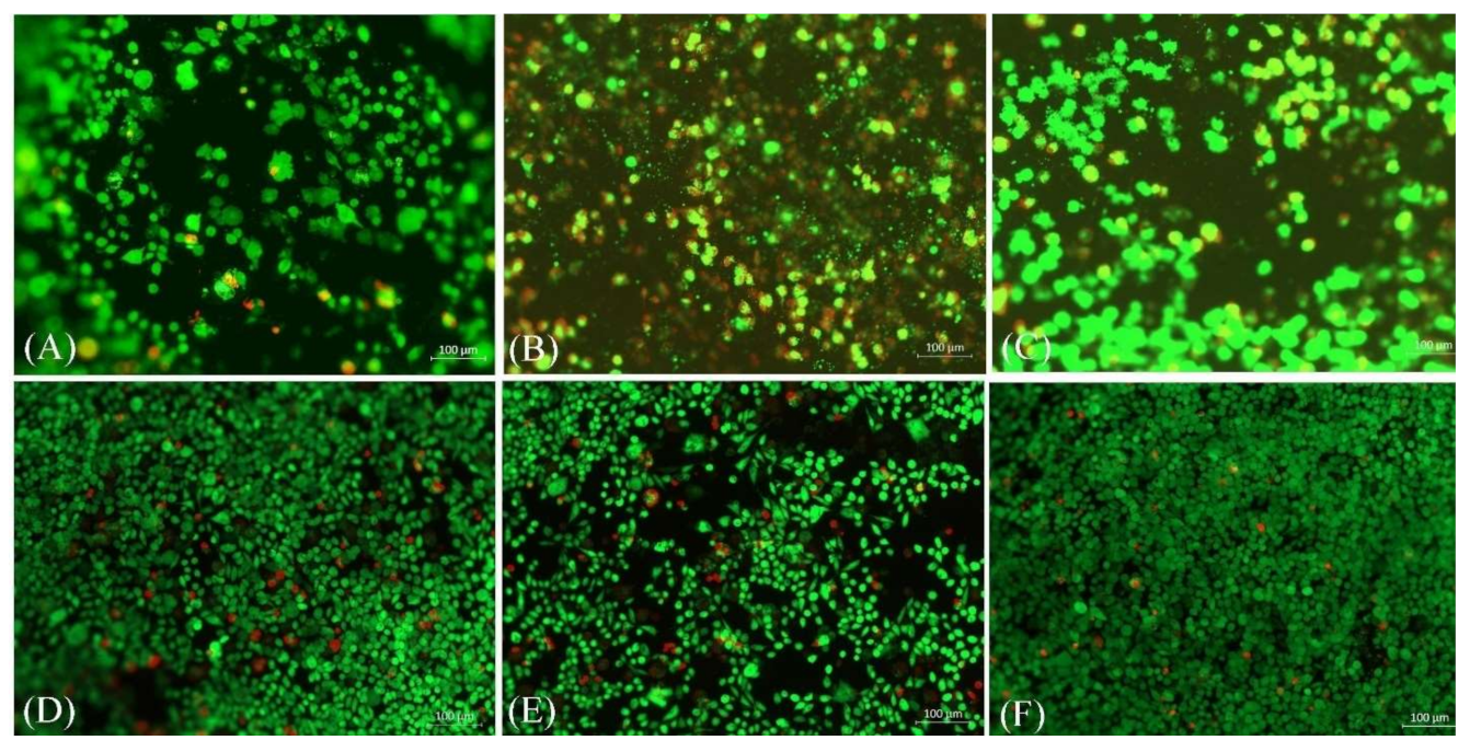 Molecules 26 01552 g005 Molecules 26 01552 g005