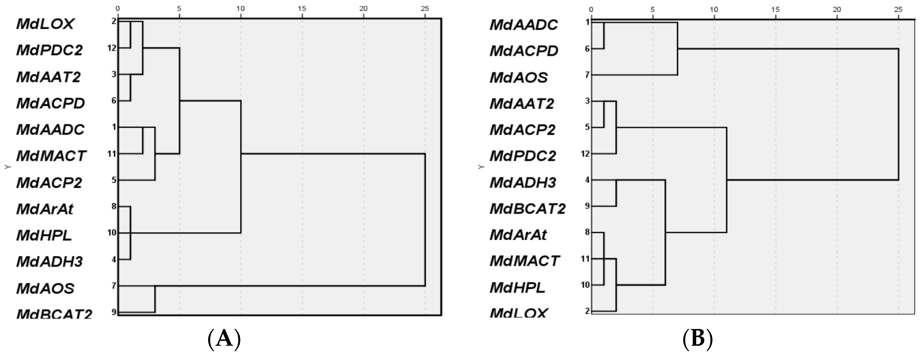 Molecules 26 01553 g003 Molecules 26 01553 g003