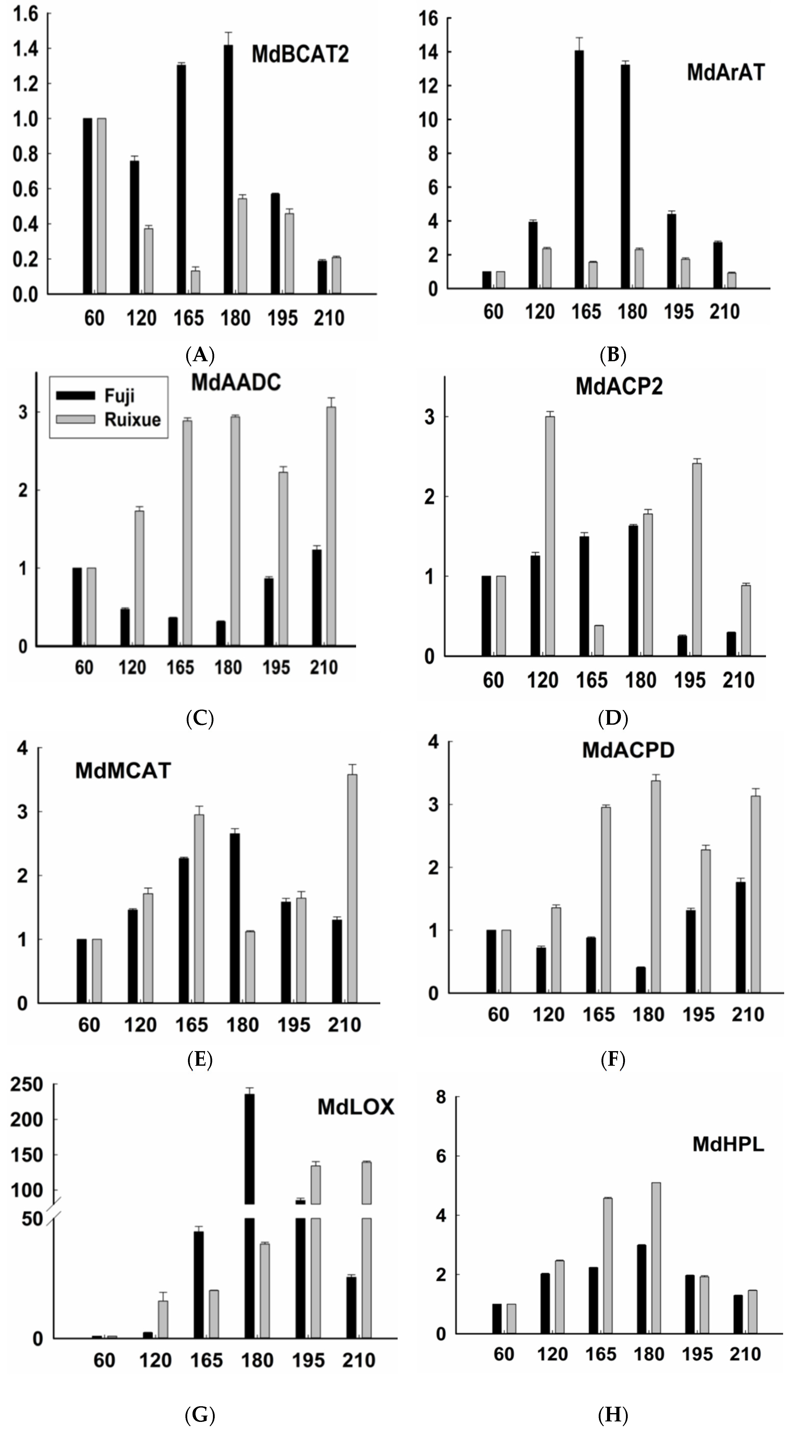 Molecules 26 01553 g004a Molecules 26 01553 g004a