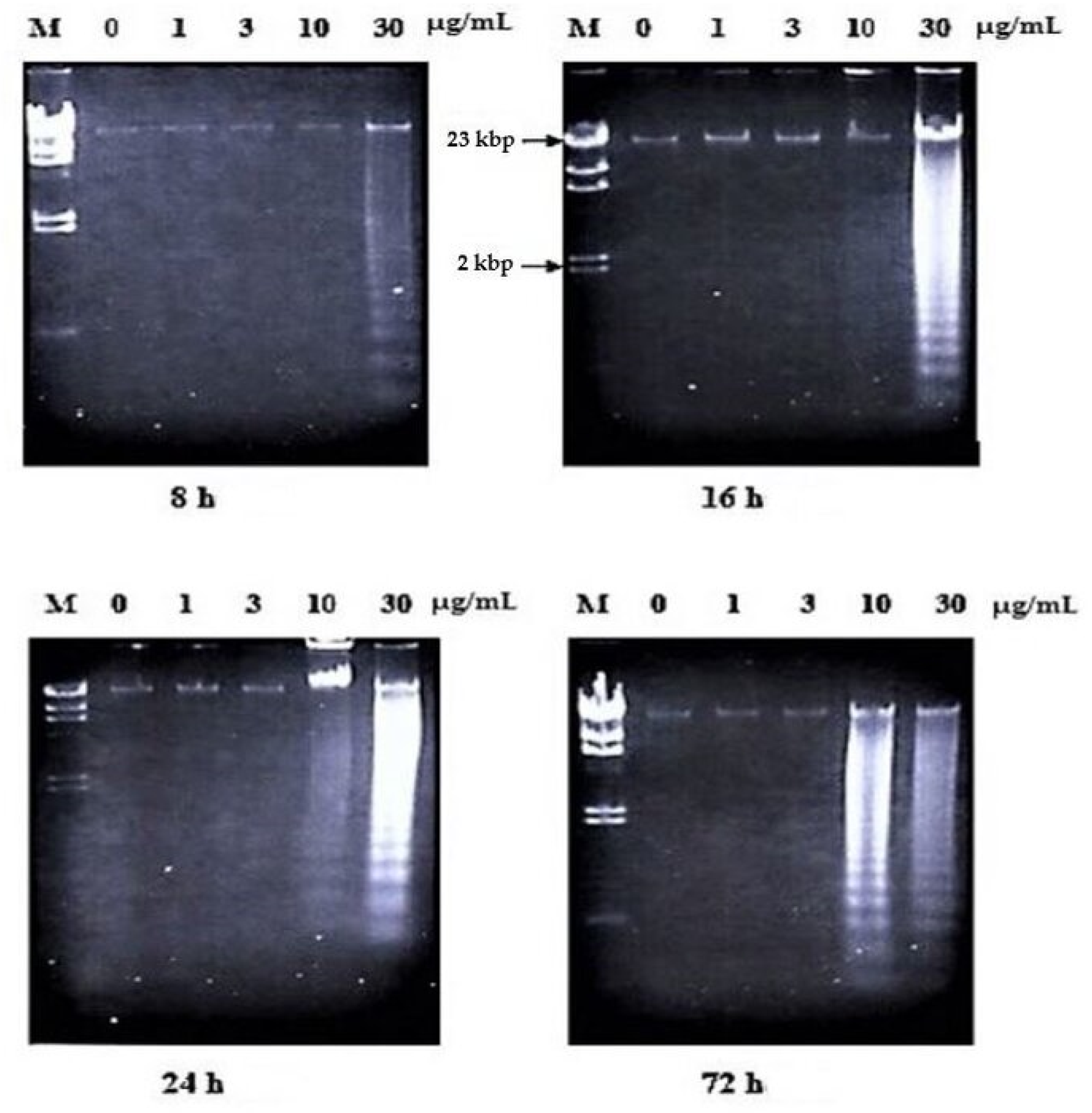 Molecules 26 01554 g003