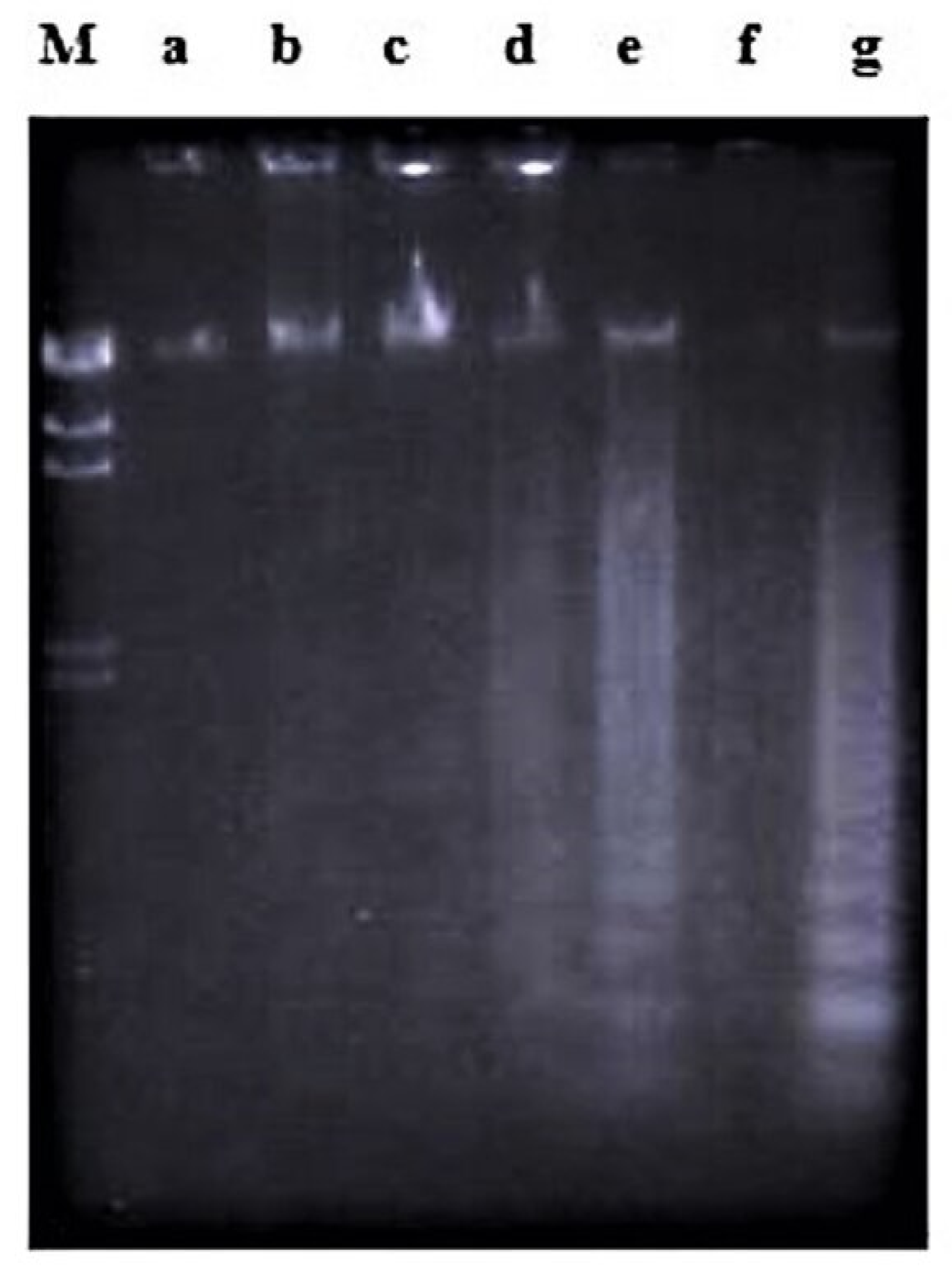 Molecules 26 01554 g005